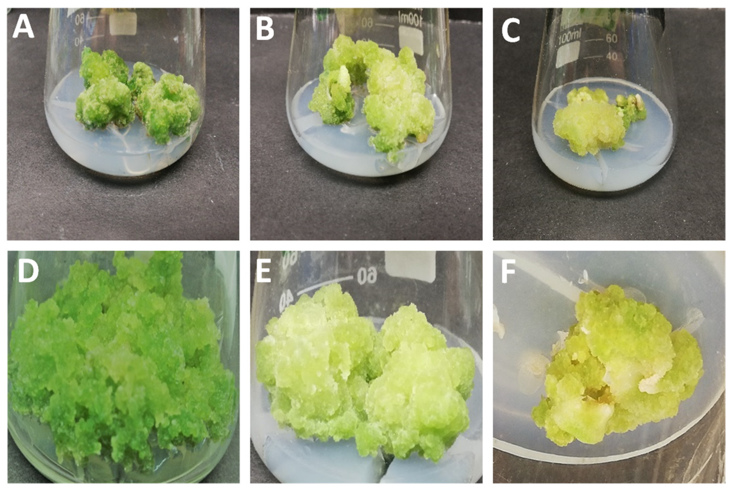 Molecules 26 04511 g001