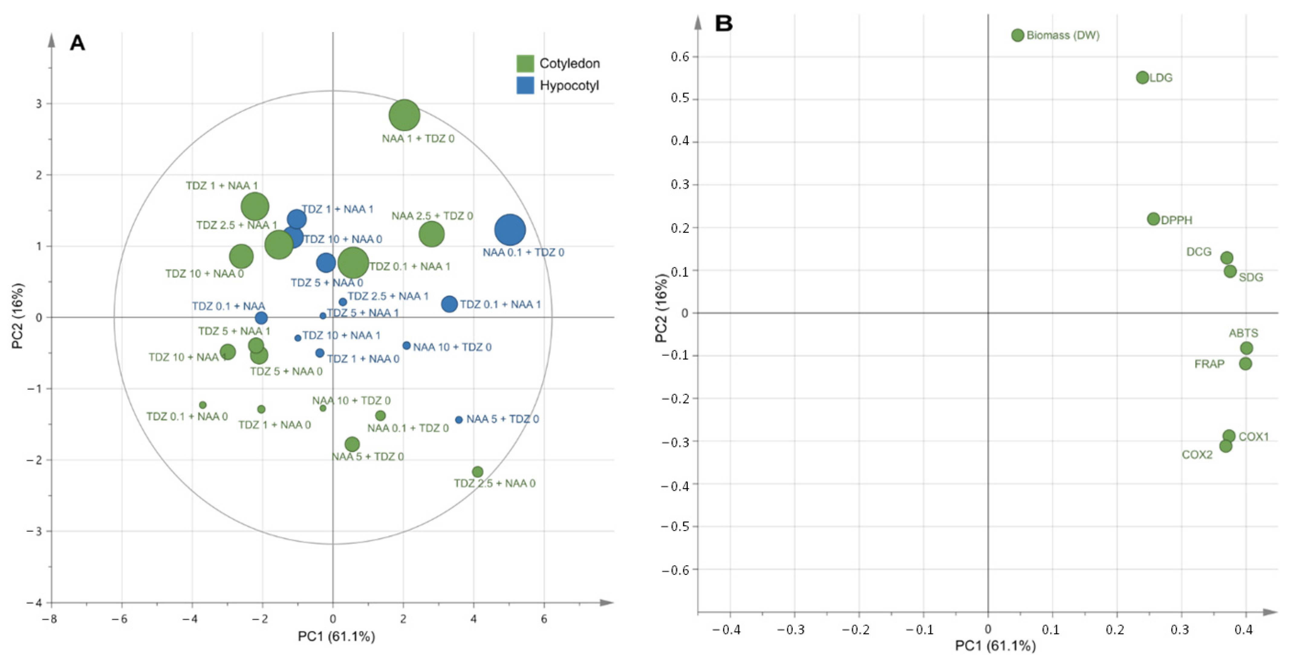 Molecules 26 04511 g004
