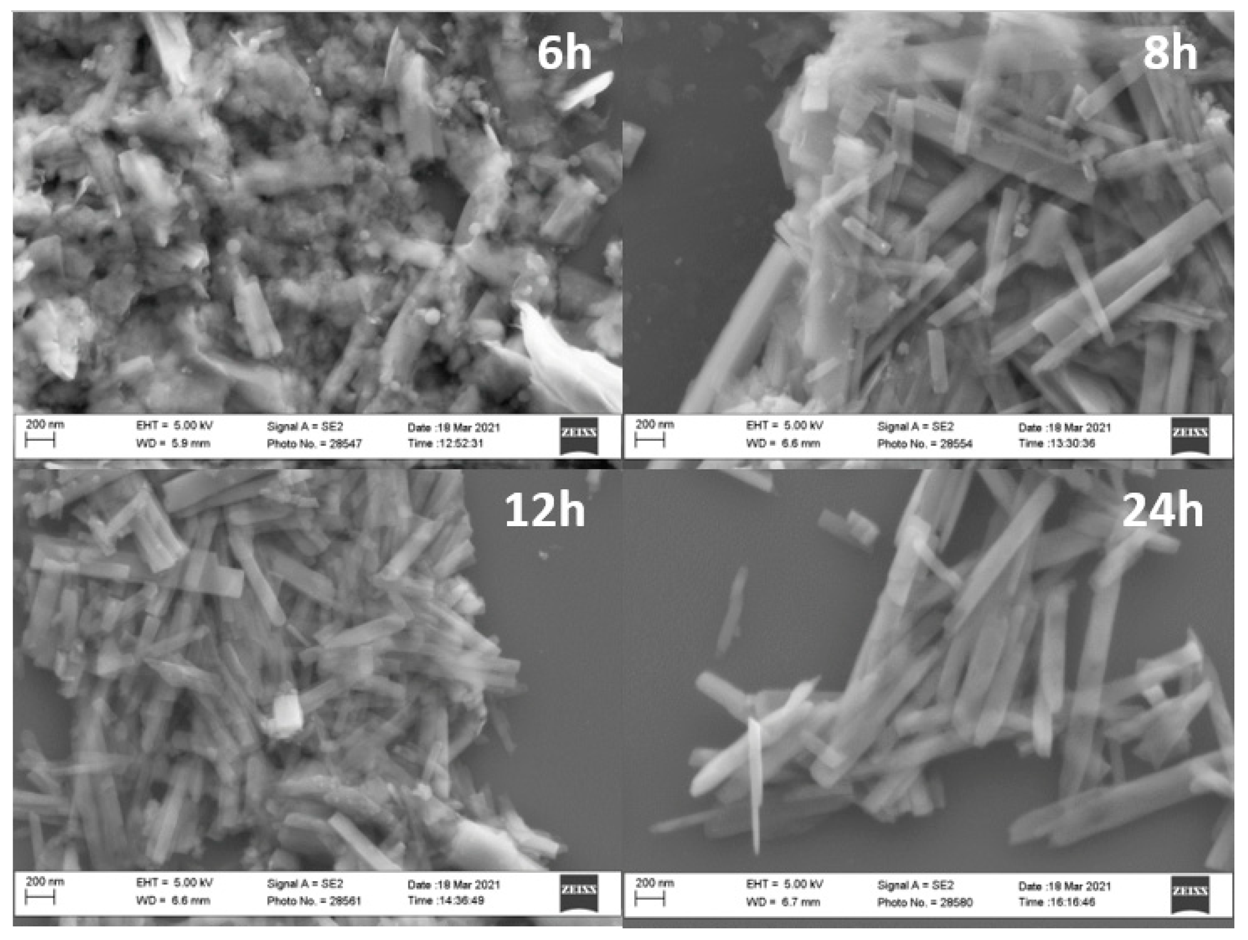 Molecules 26 04513 g002 550
