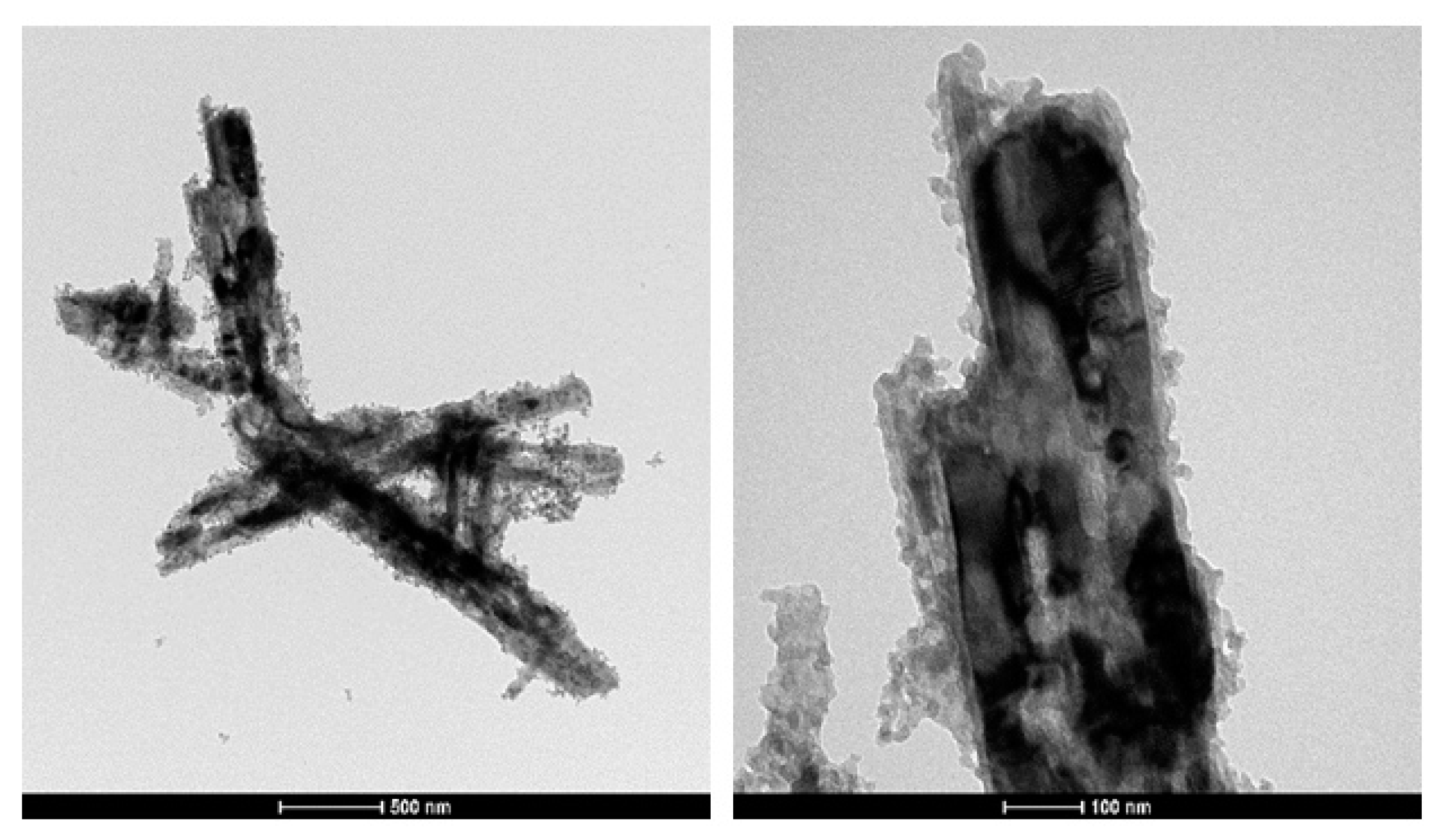Molecules 26 04513 g008 550
