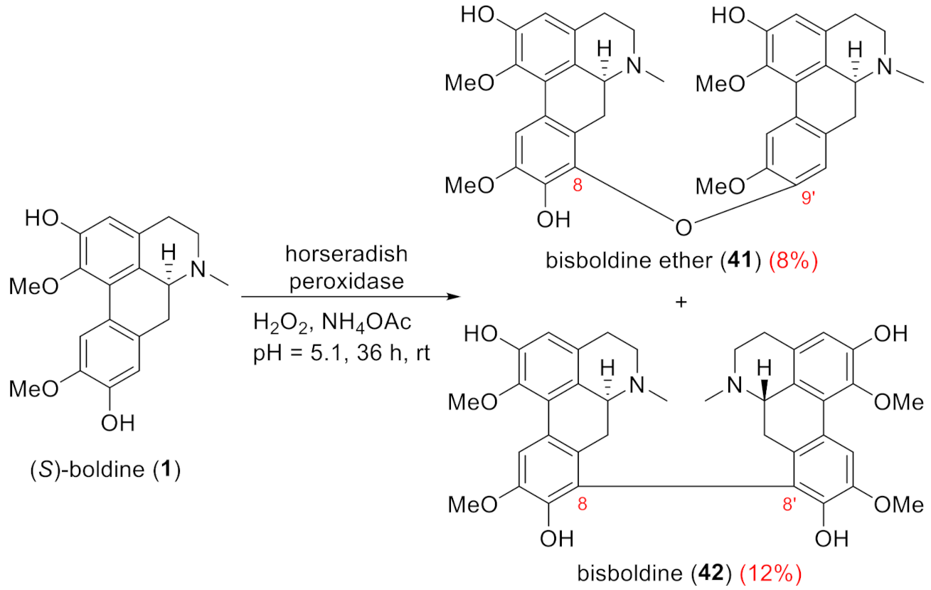 Molecules 26 04521 sch001
