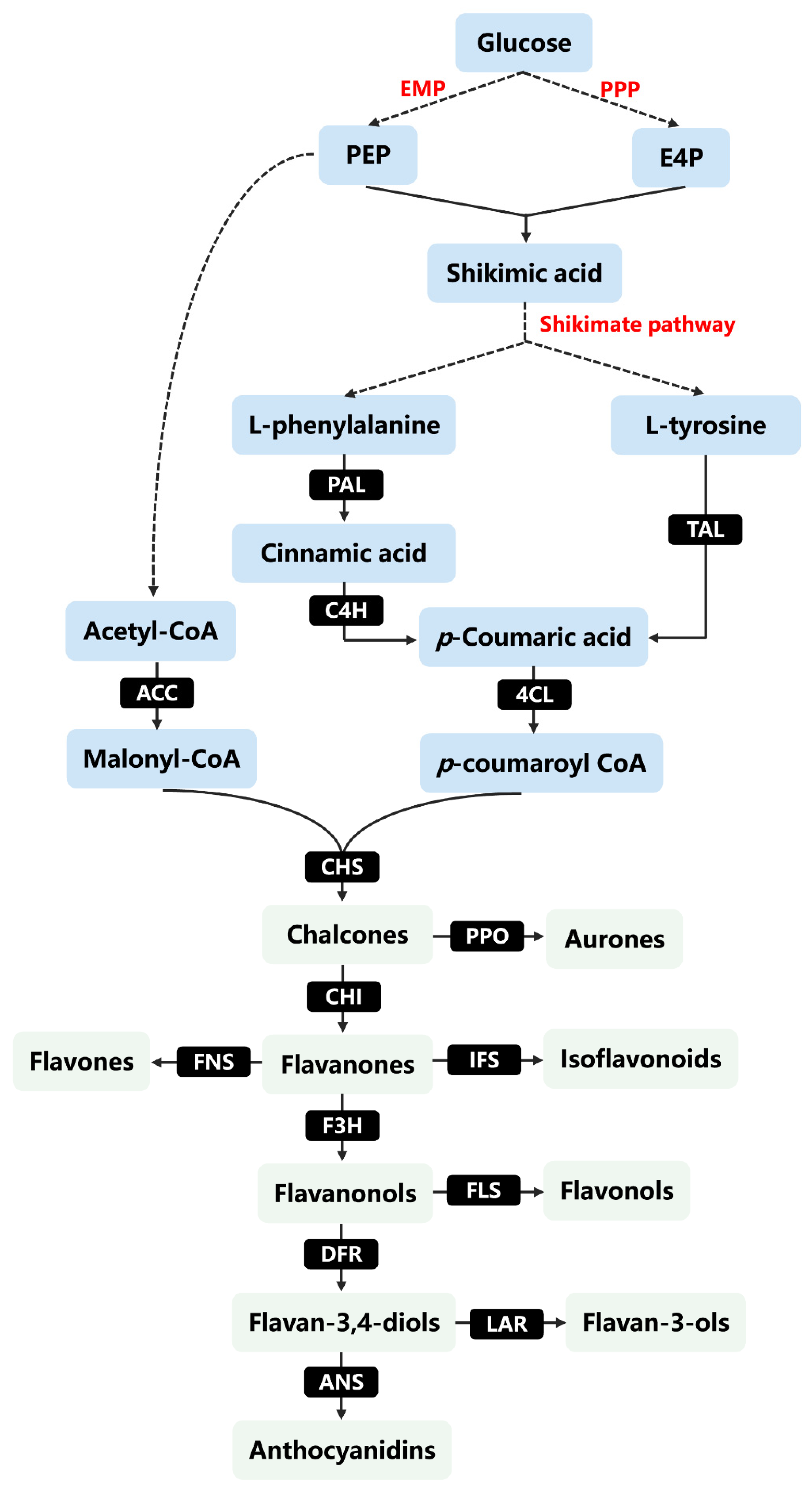 Molecules 26 04522 g002