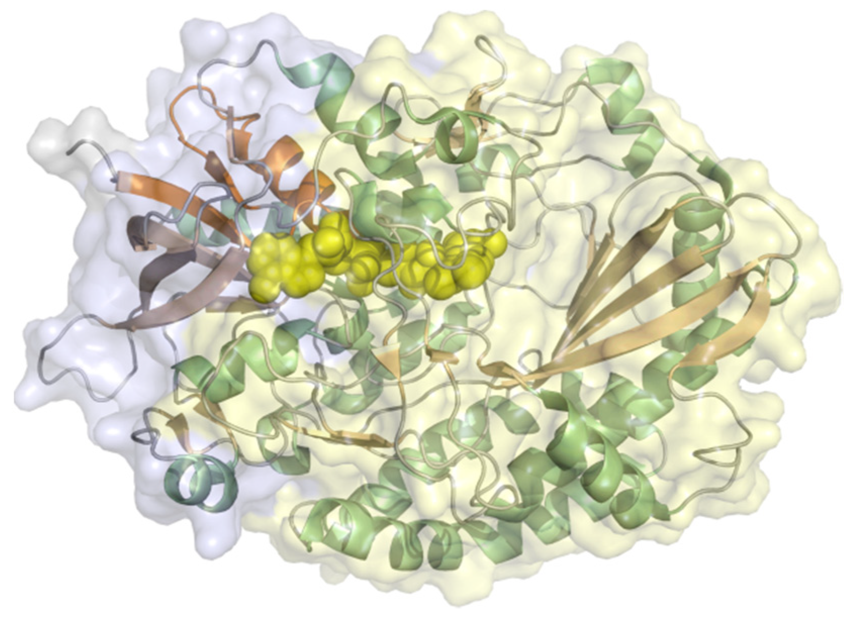 Molecules 26 04525 g005 Molecules 26 04525 g005