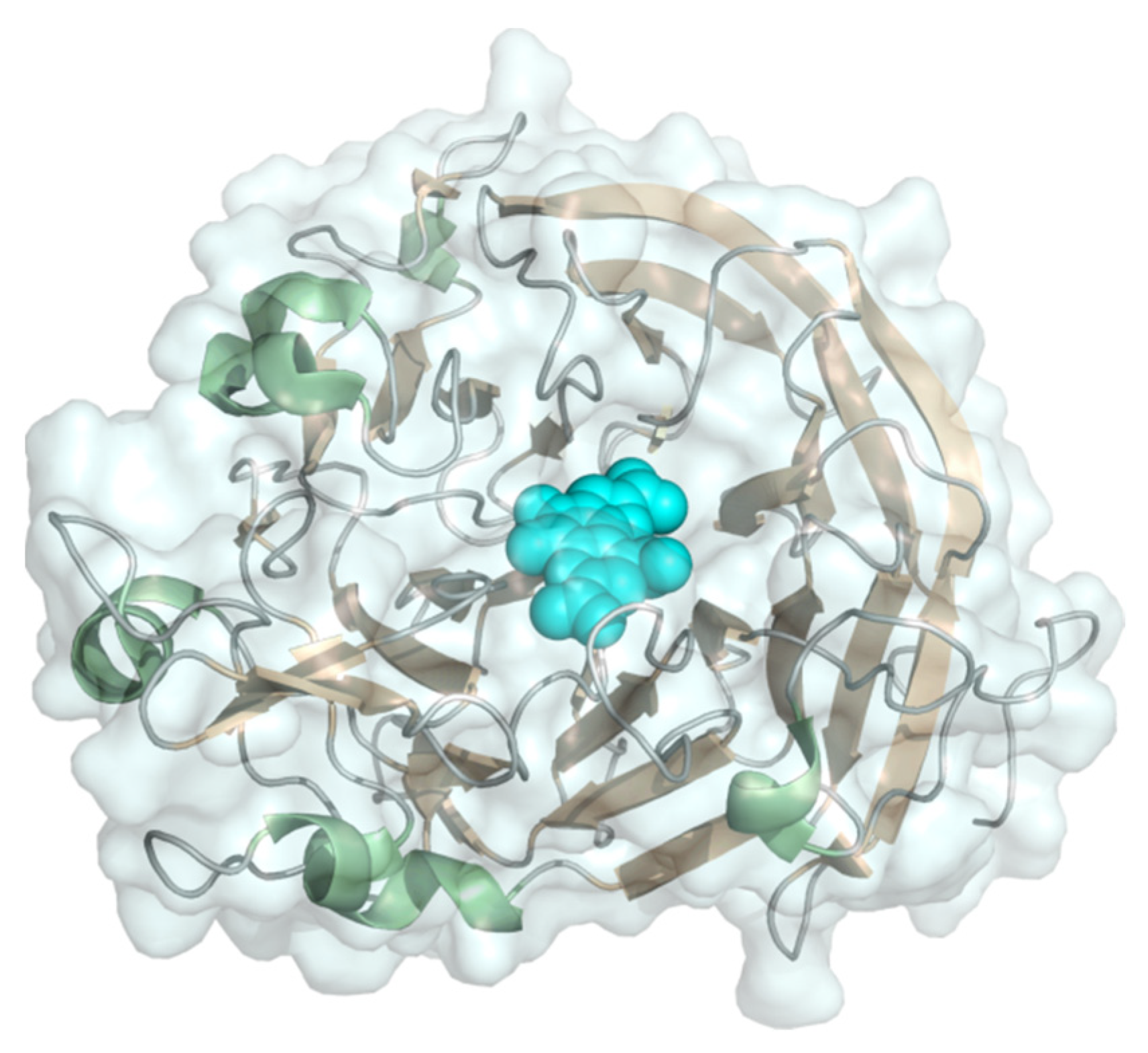 Molecules 26 04525 g009 Molecules 26 04525 g009