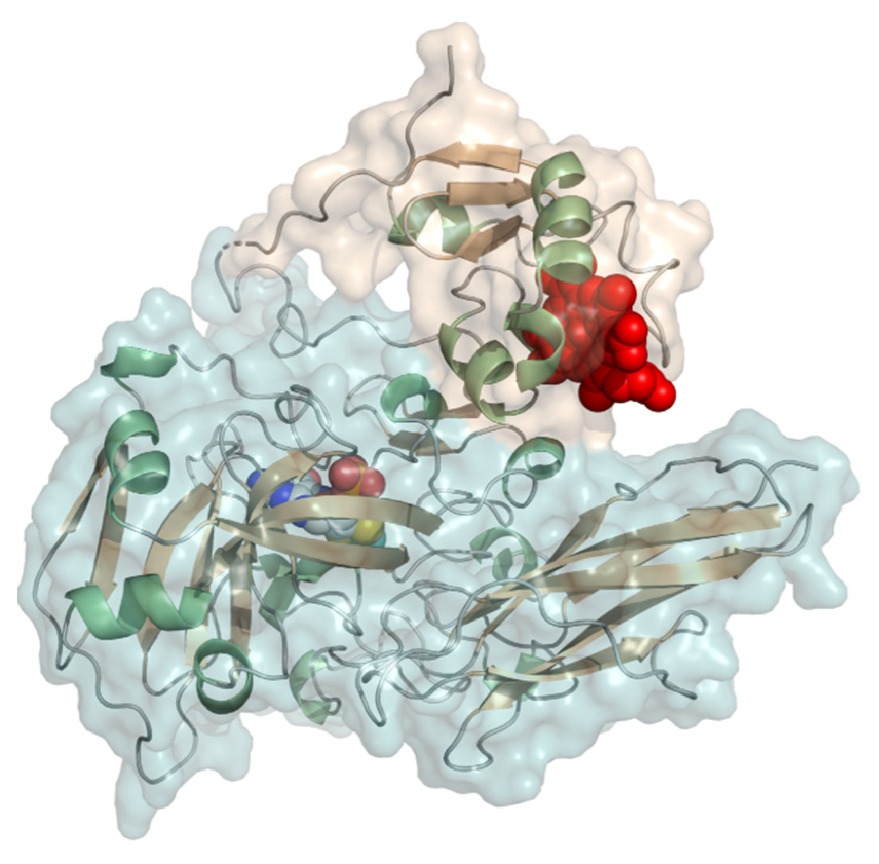 Molecules 26 04525 g013 Molecules 26 04525 g013