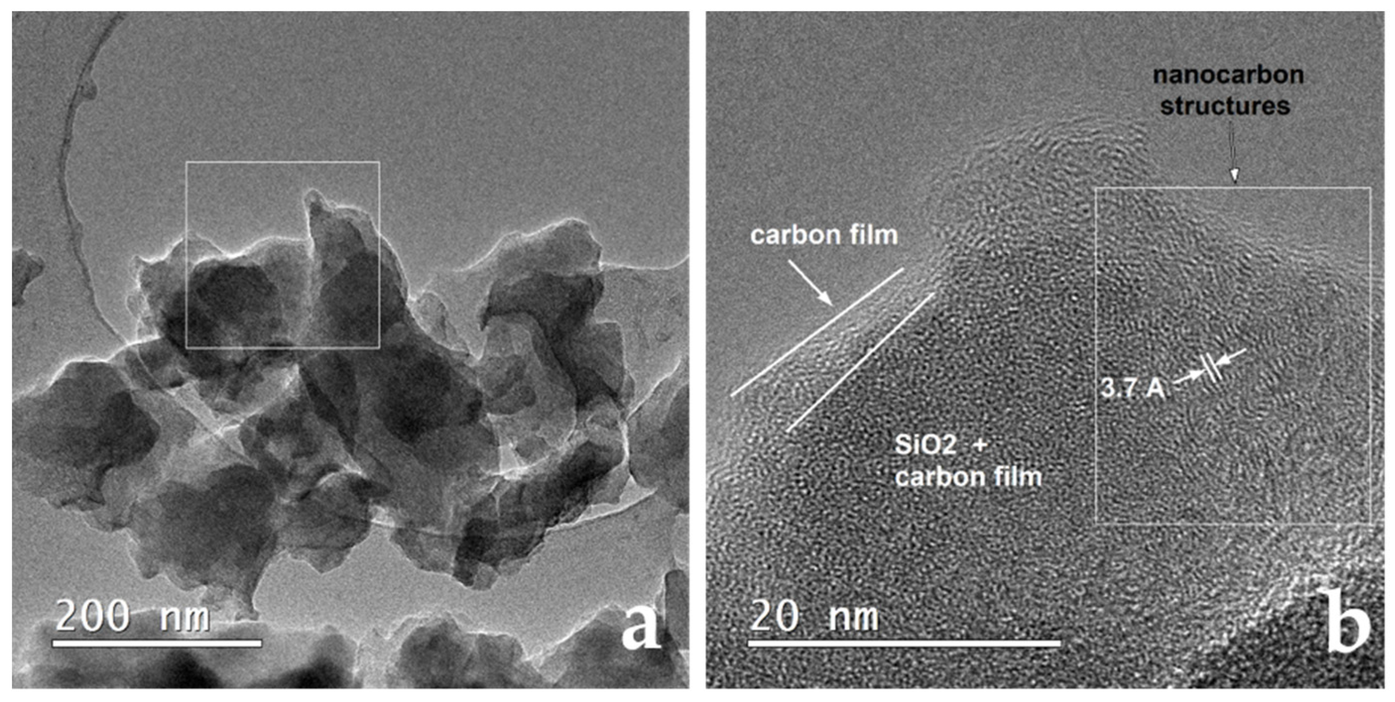 Molecules 26 04531 g005