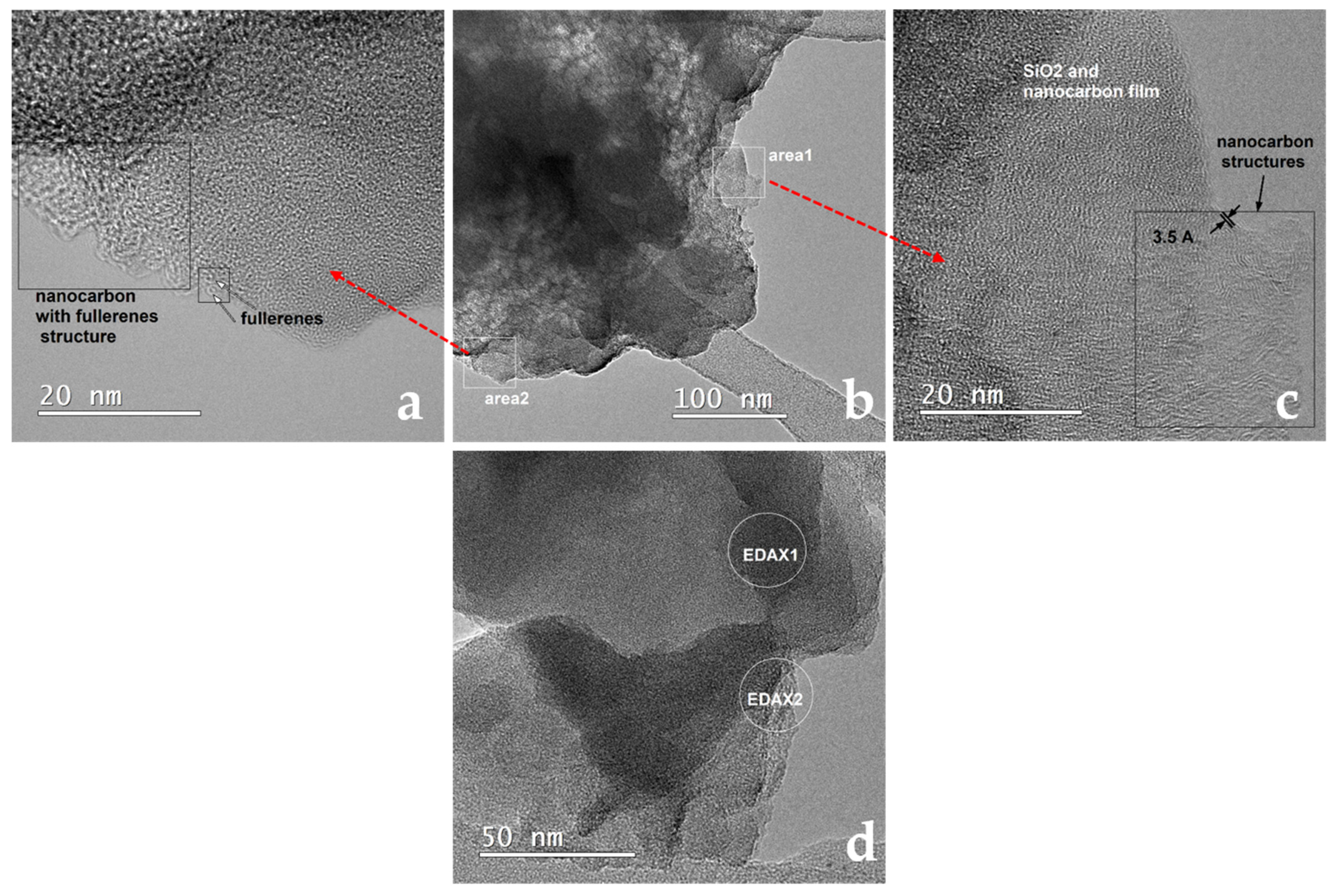 Molecules 26 04531 g006