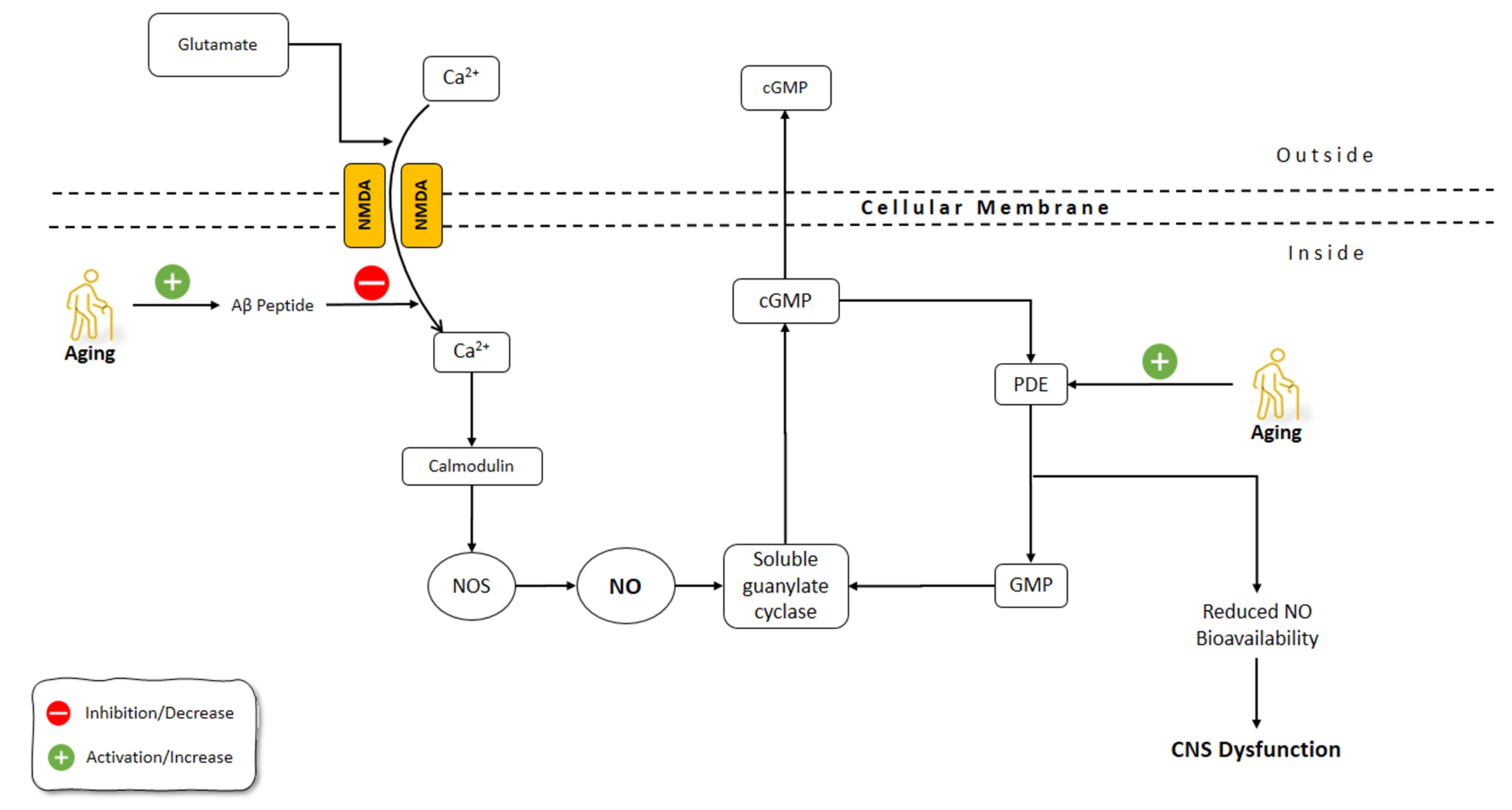 Molecules 26 04533 g003