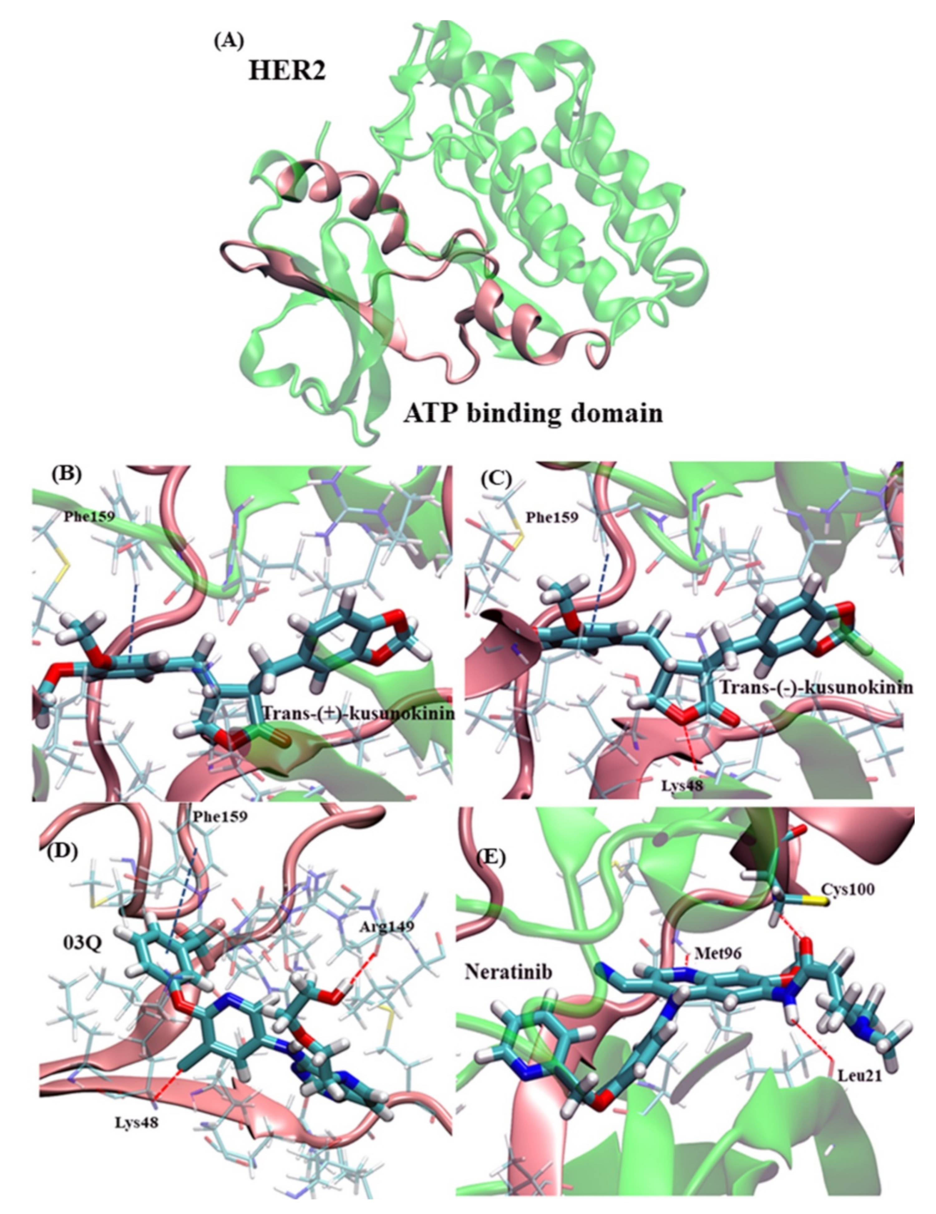 Molecules 26 04537 g003 550