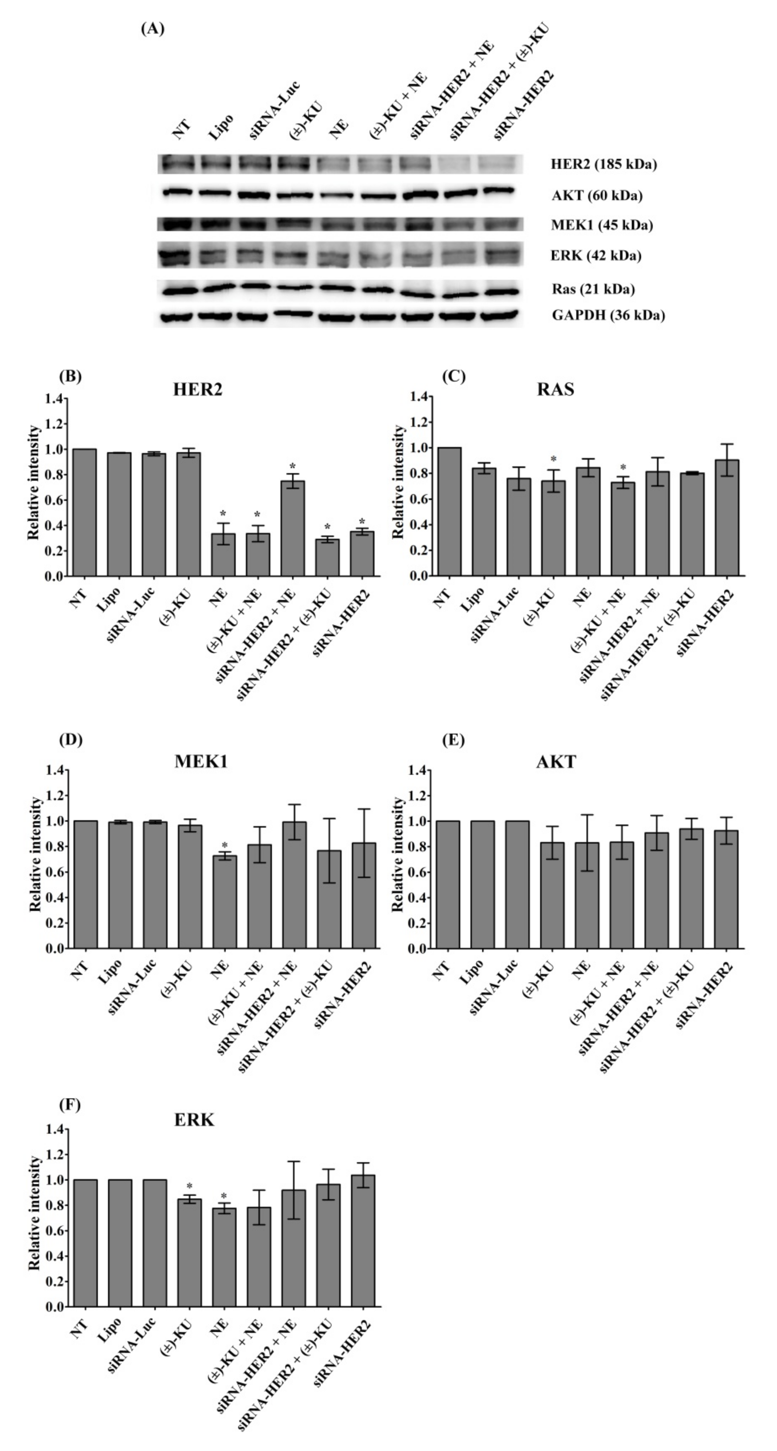 Molecules 26 04537 g006 550