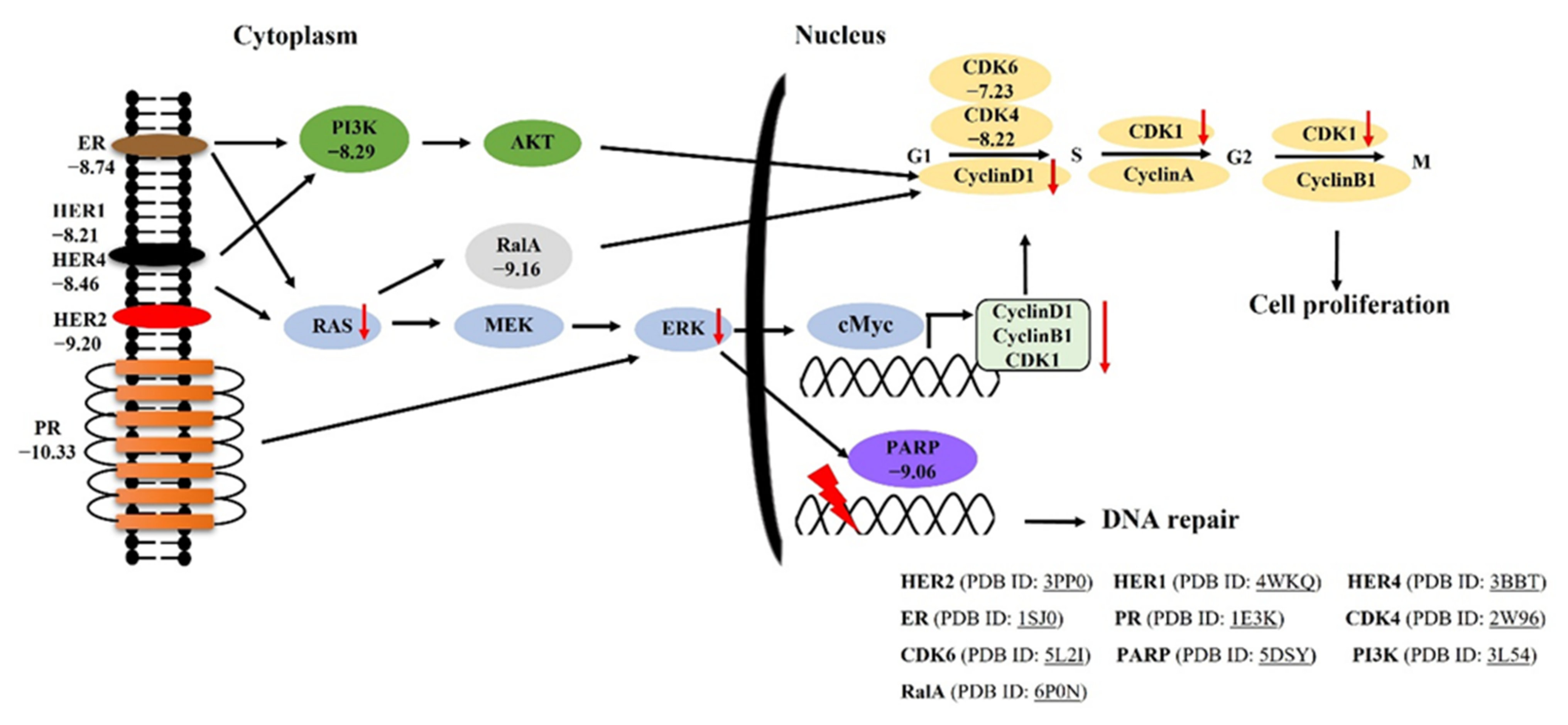 Molecules 26 04537 g008 550