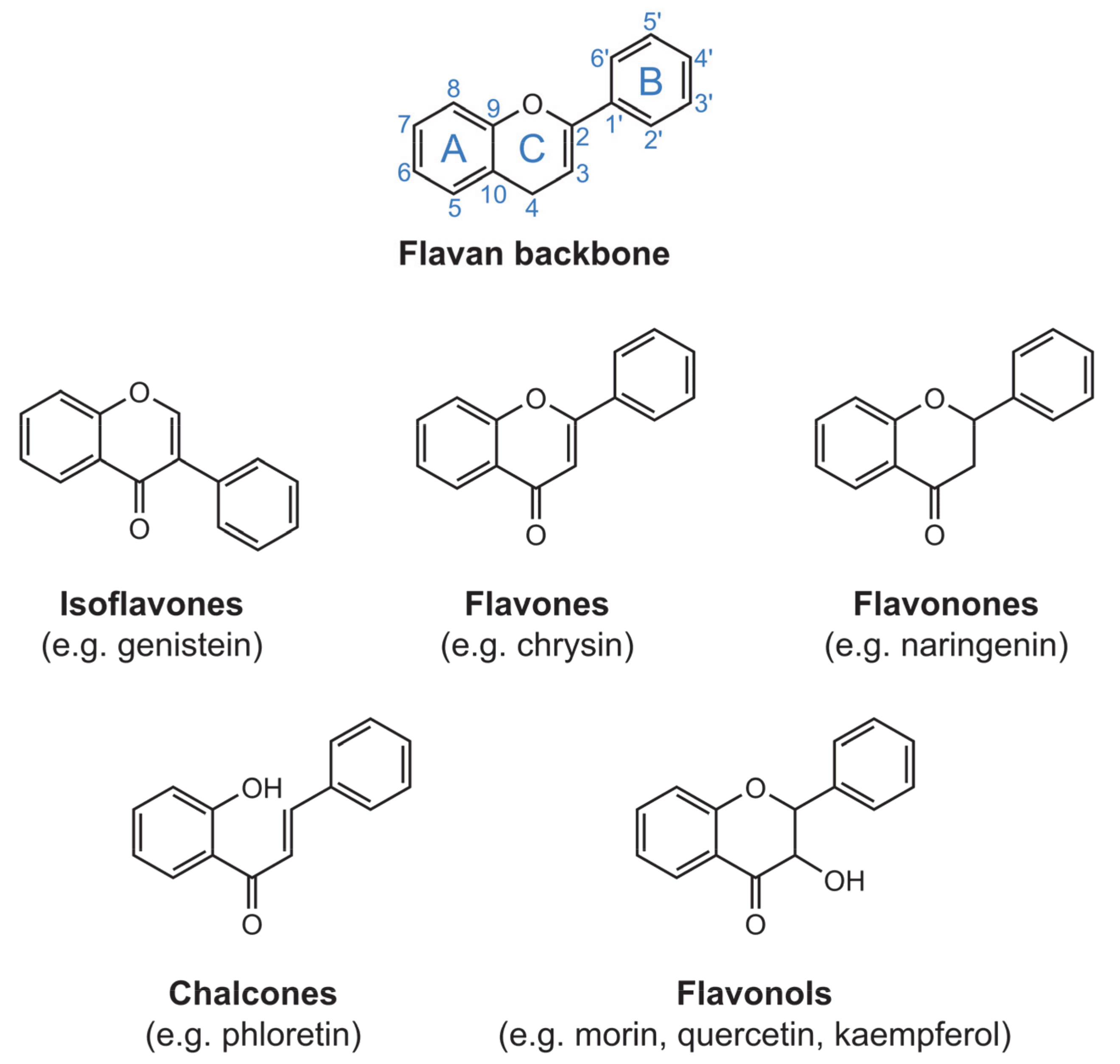 Molecules 26 04544 g001 Molecules 26 04544 g001