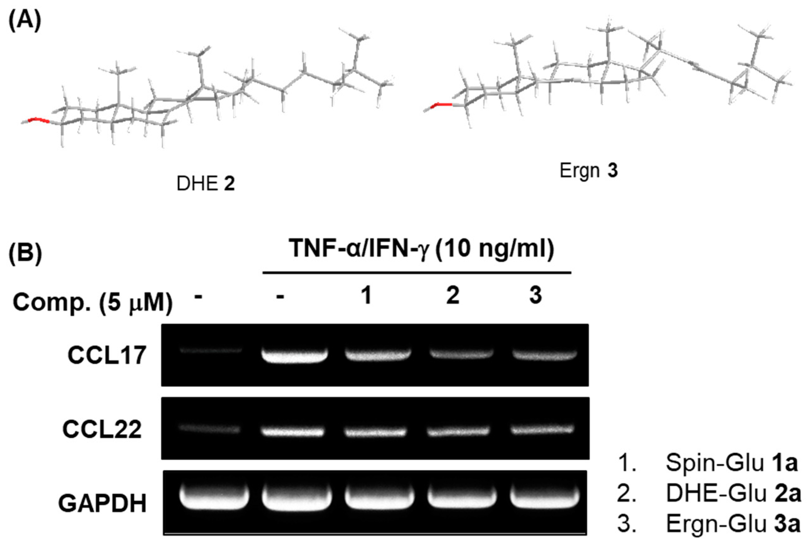 Molecules 26 04547 g002