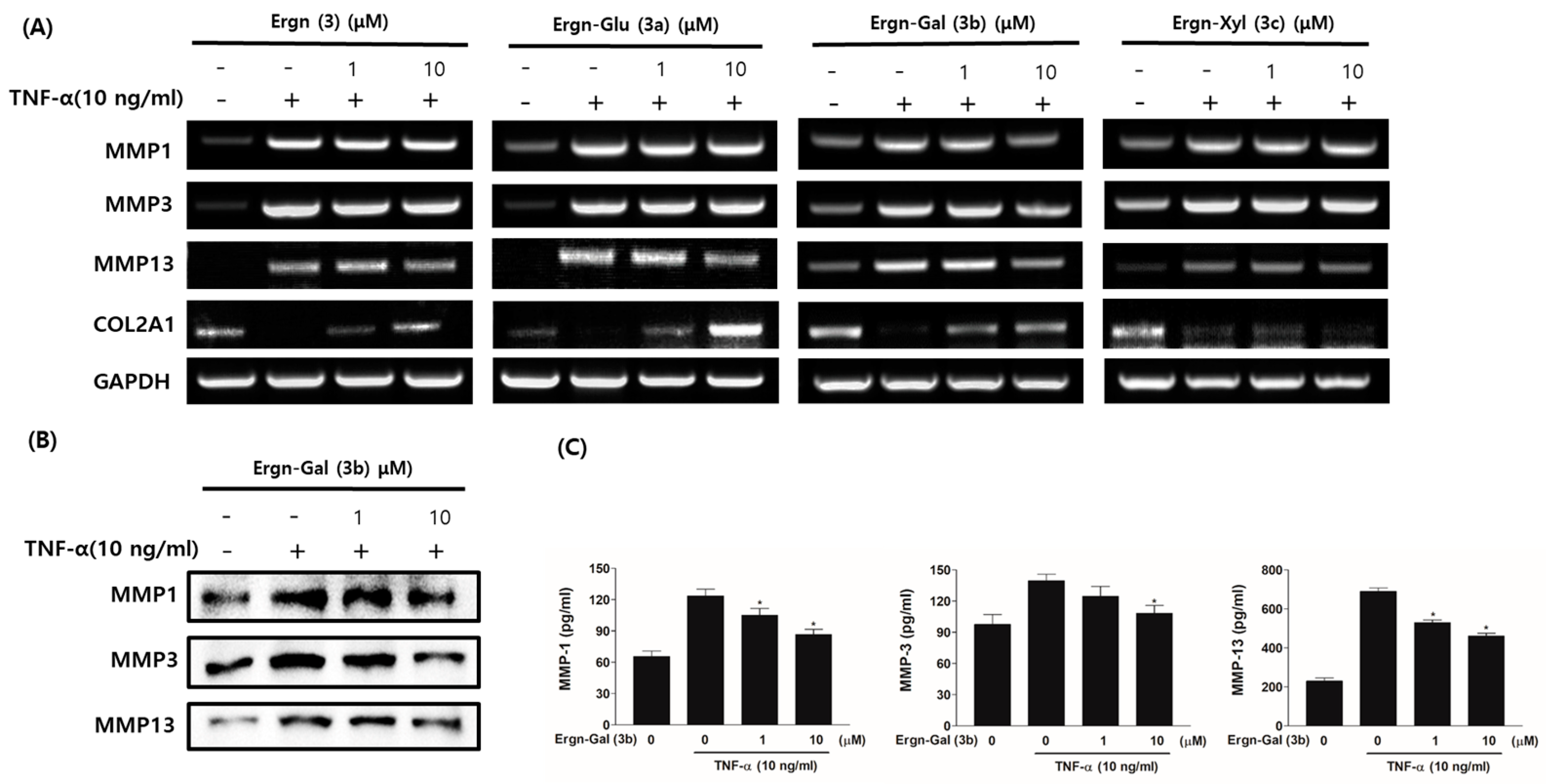 Molecules 26 04547 g005