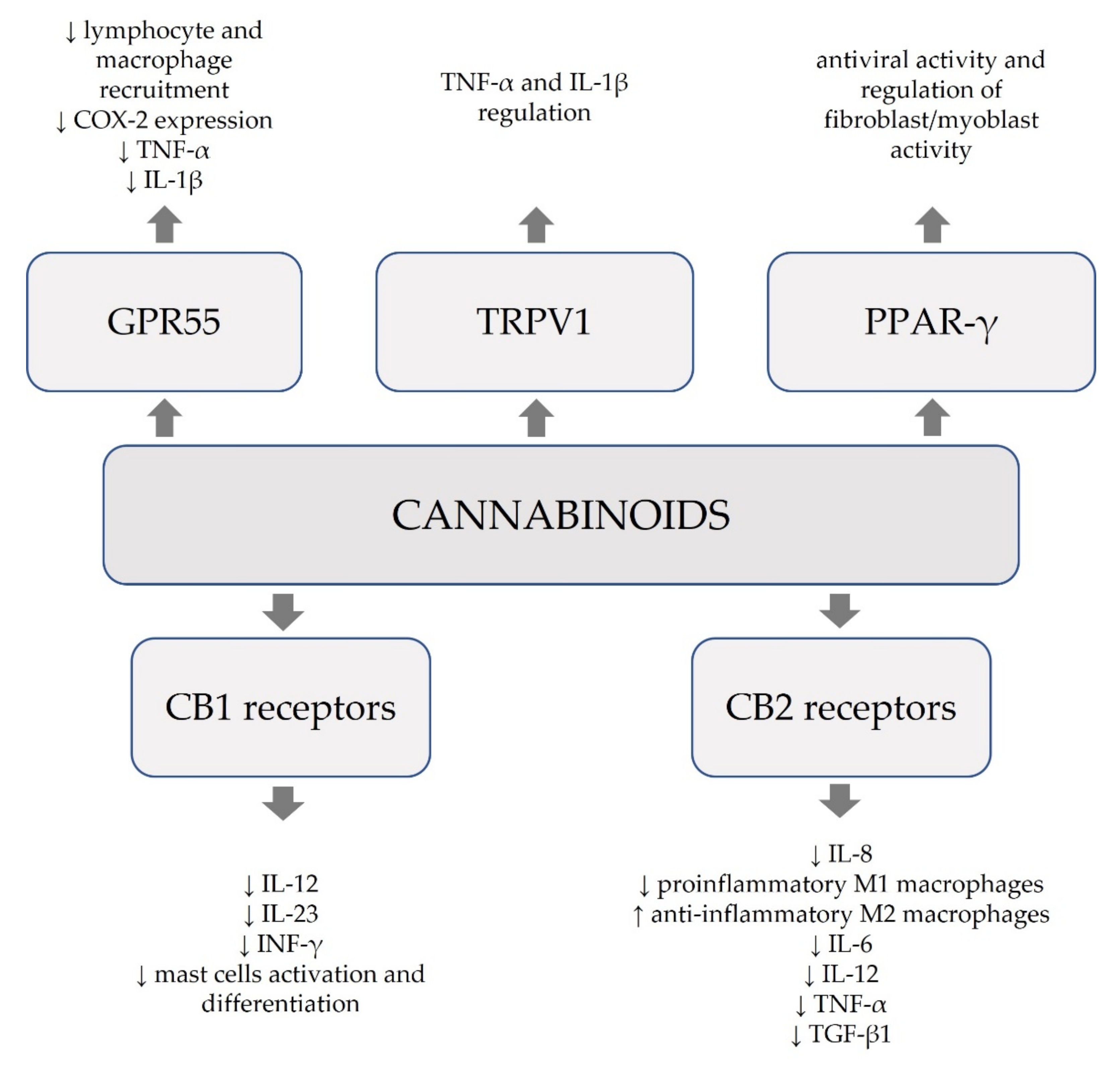 Molecules 26 04551 g002 Molecules 26 04551 g002