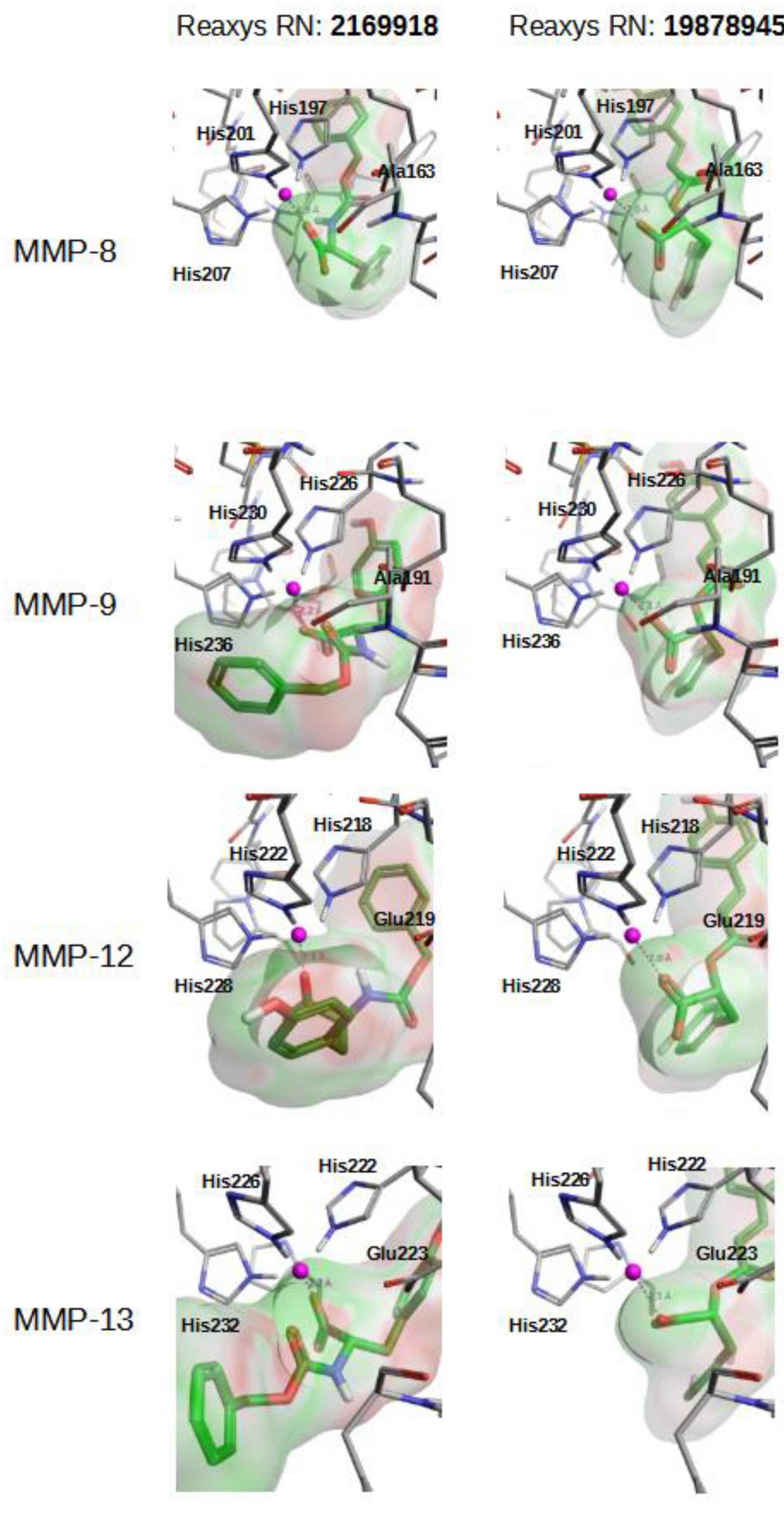 Molecules 26 04553 g005