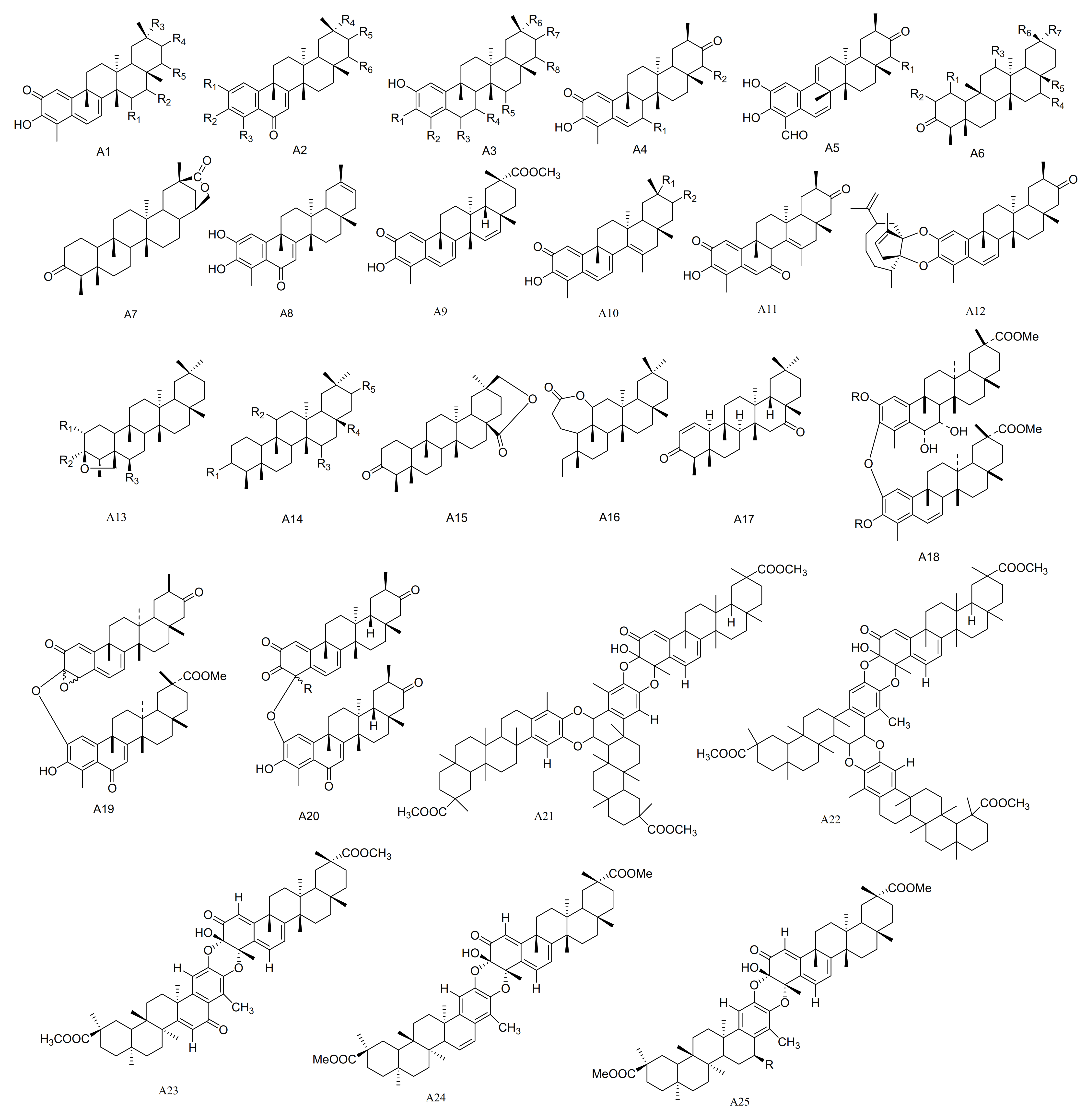 Molecules 26 04563 g001