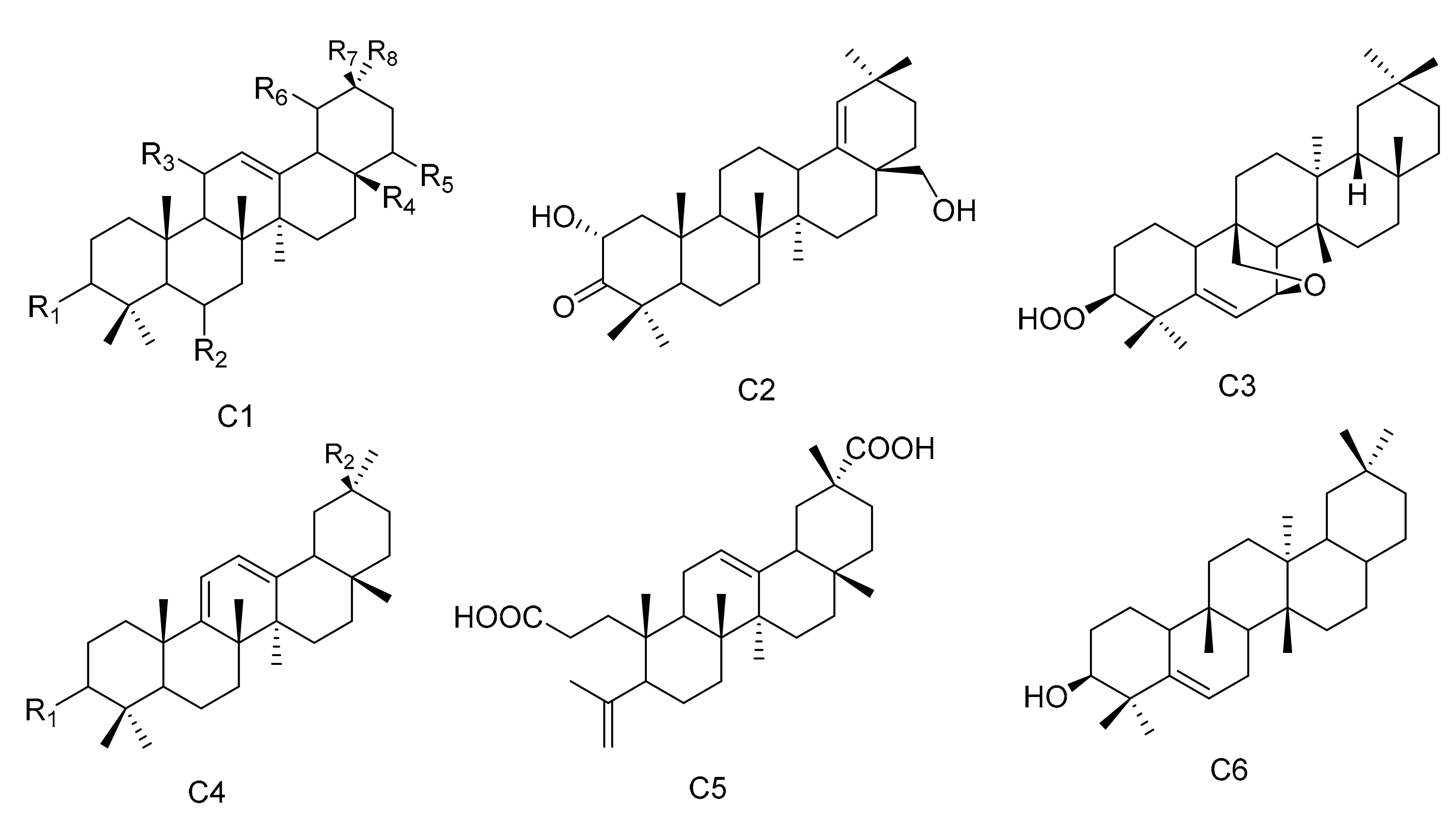 Molecules 26 04563 g003