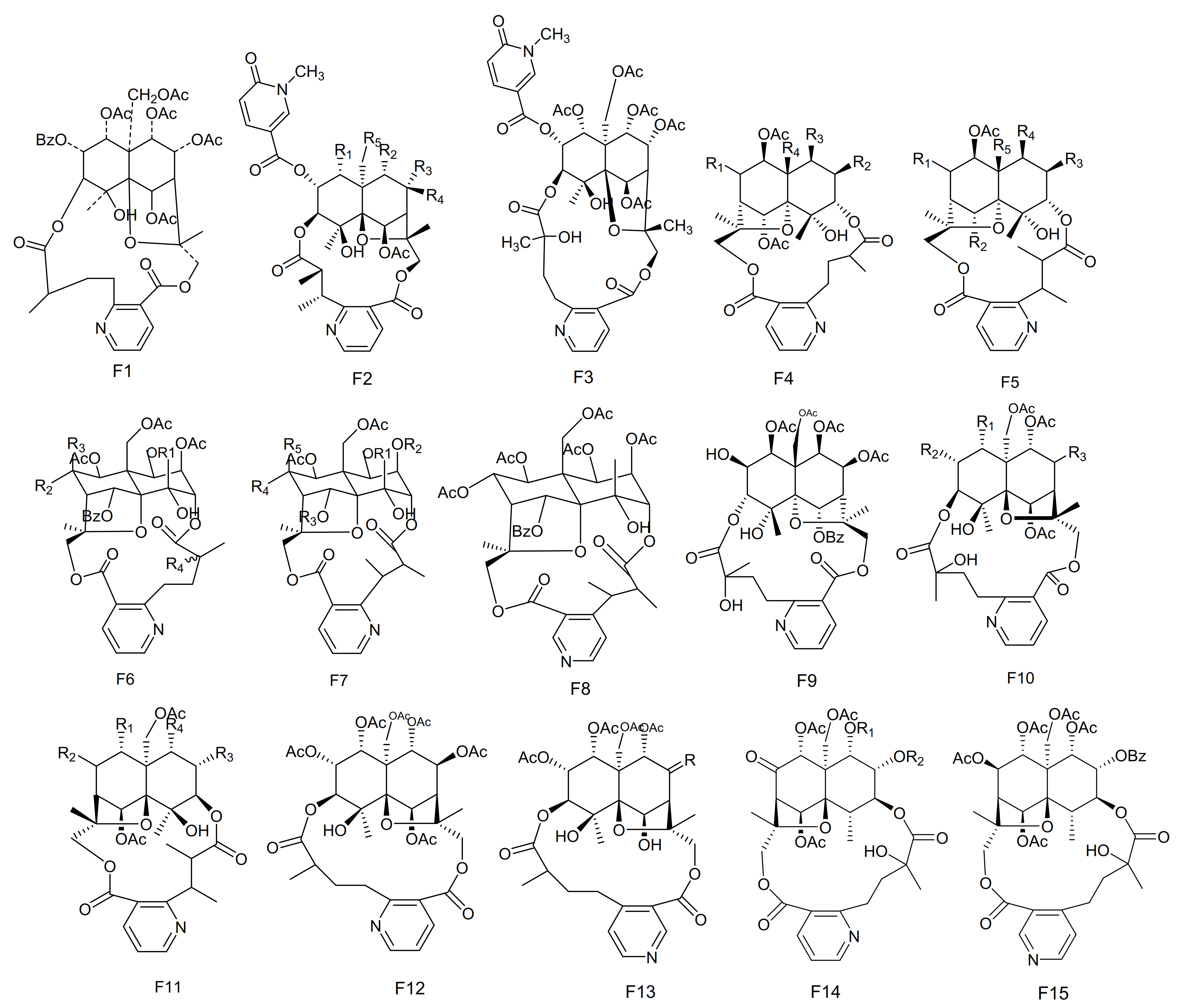 Molecules 26 04563 g006