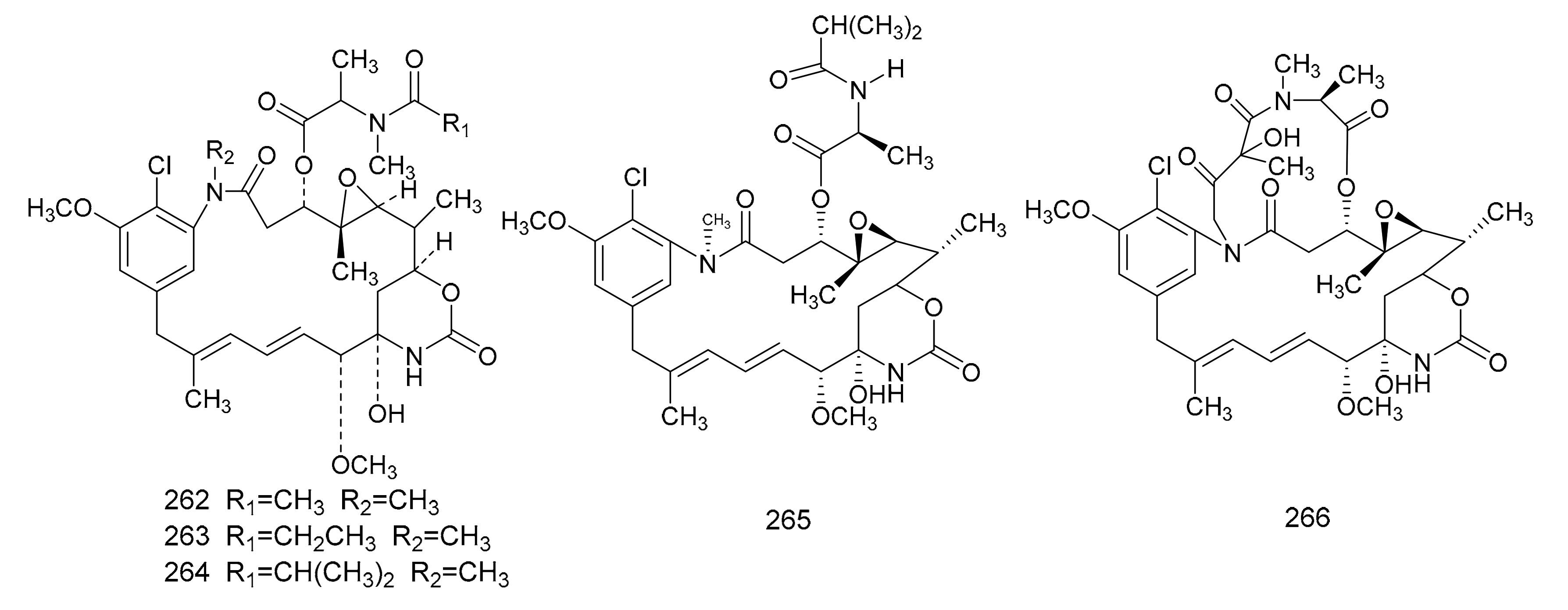 Molecules 26 04563 g007