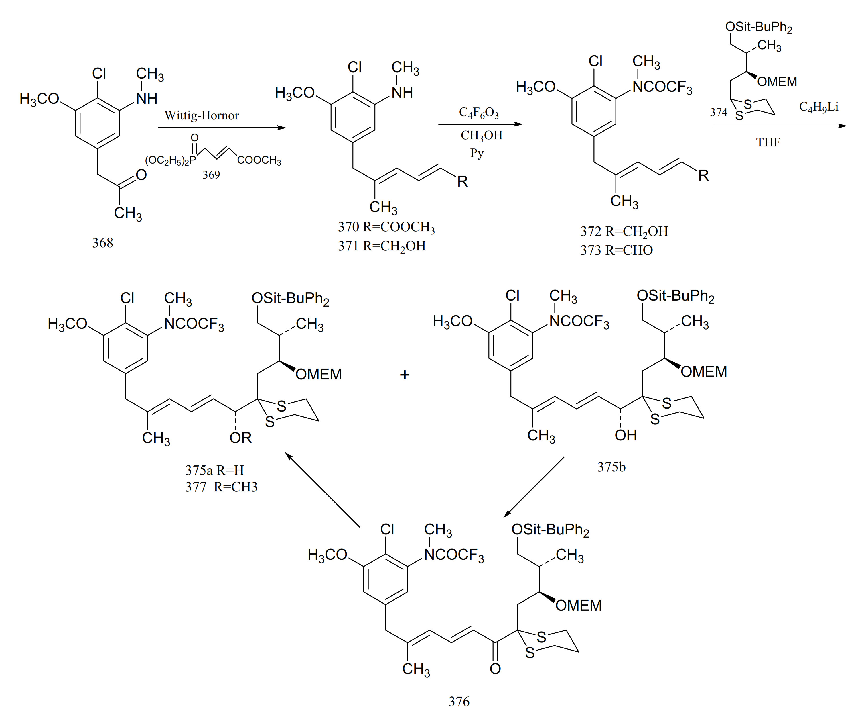 Molecules 26 04563 g023
