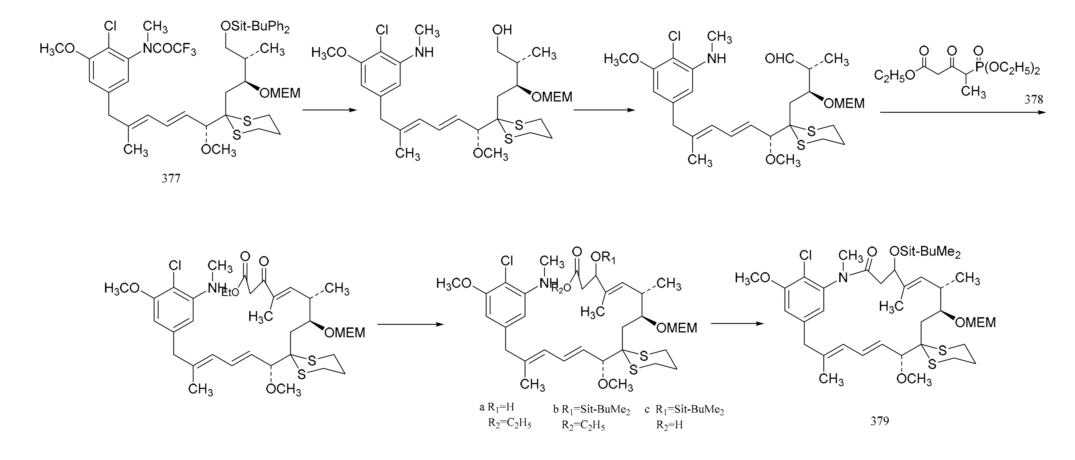 Molecules 26 04563 g024a