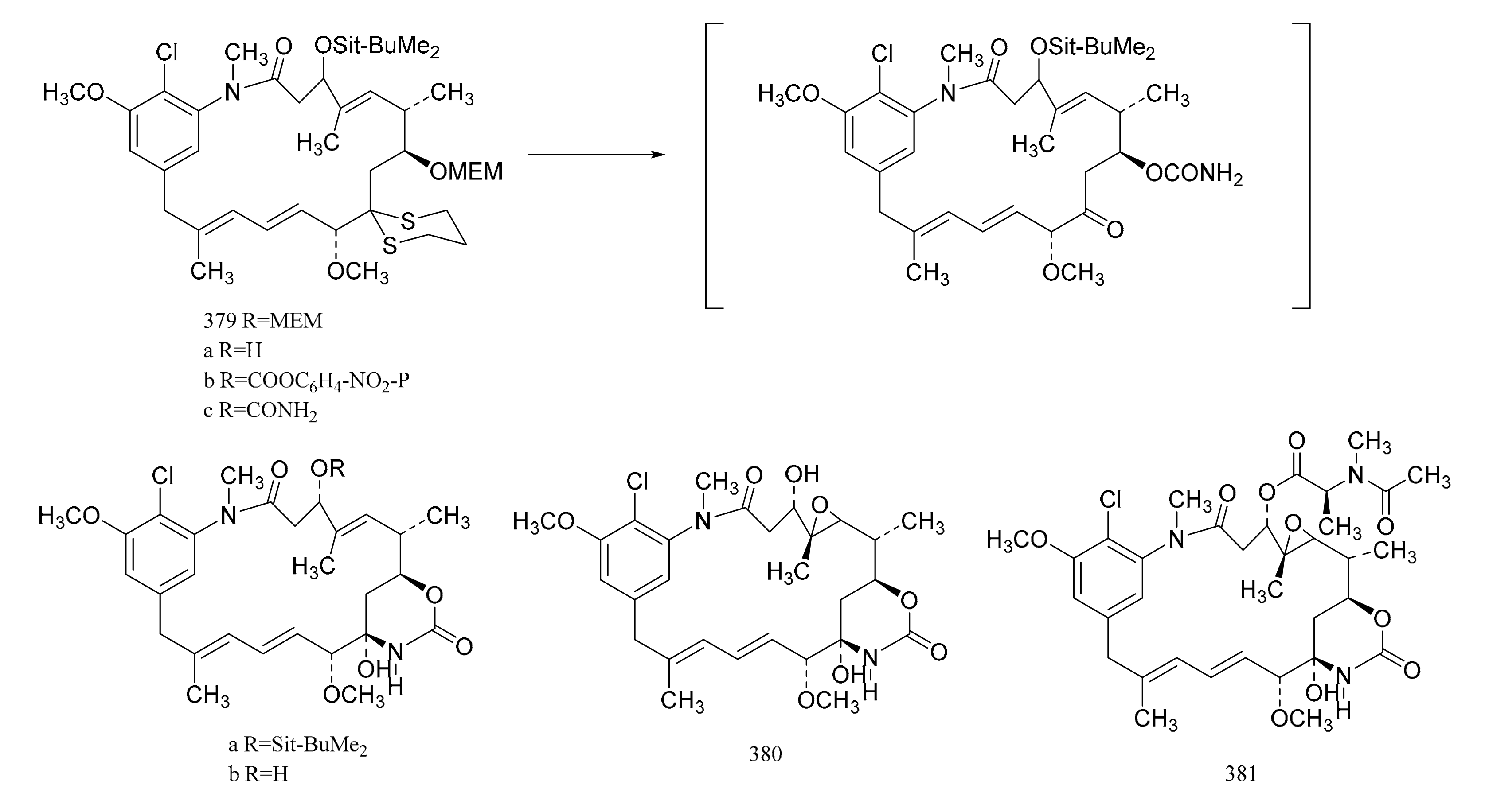 Molecules 26 04563 g024b