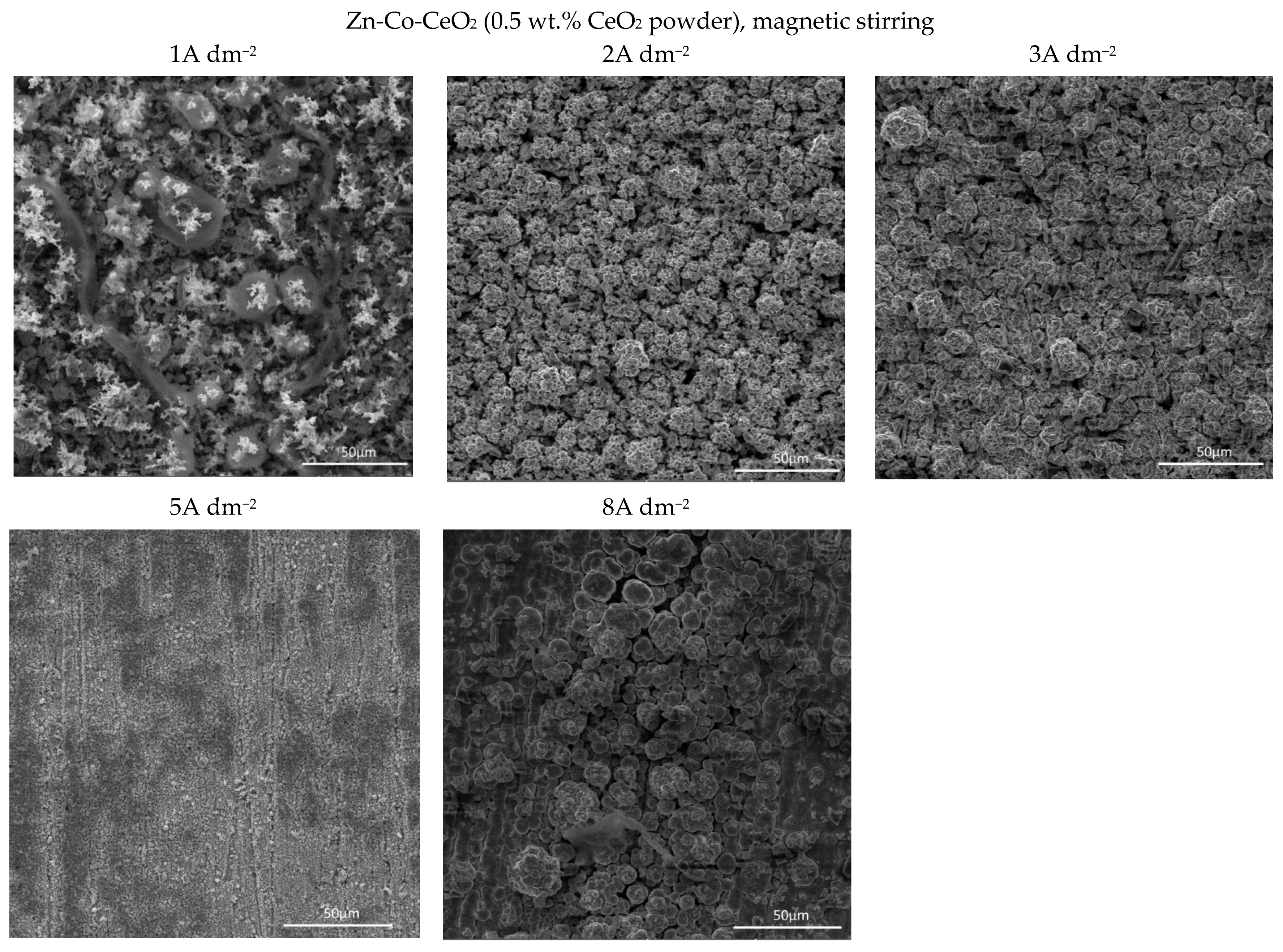 Molecules 26 04578 g006