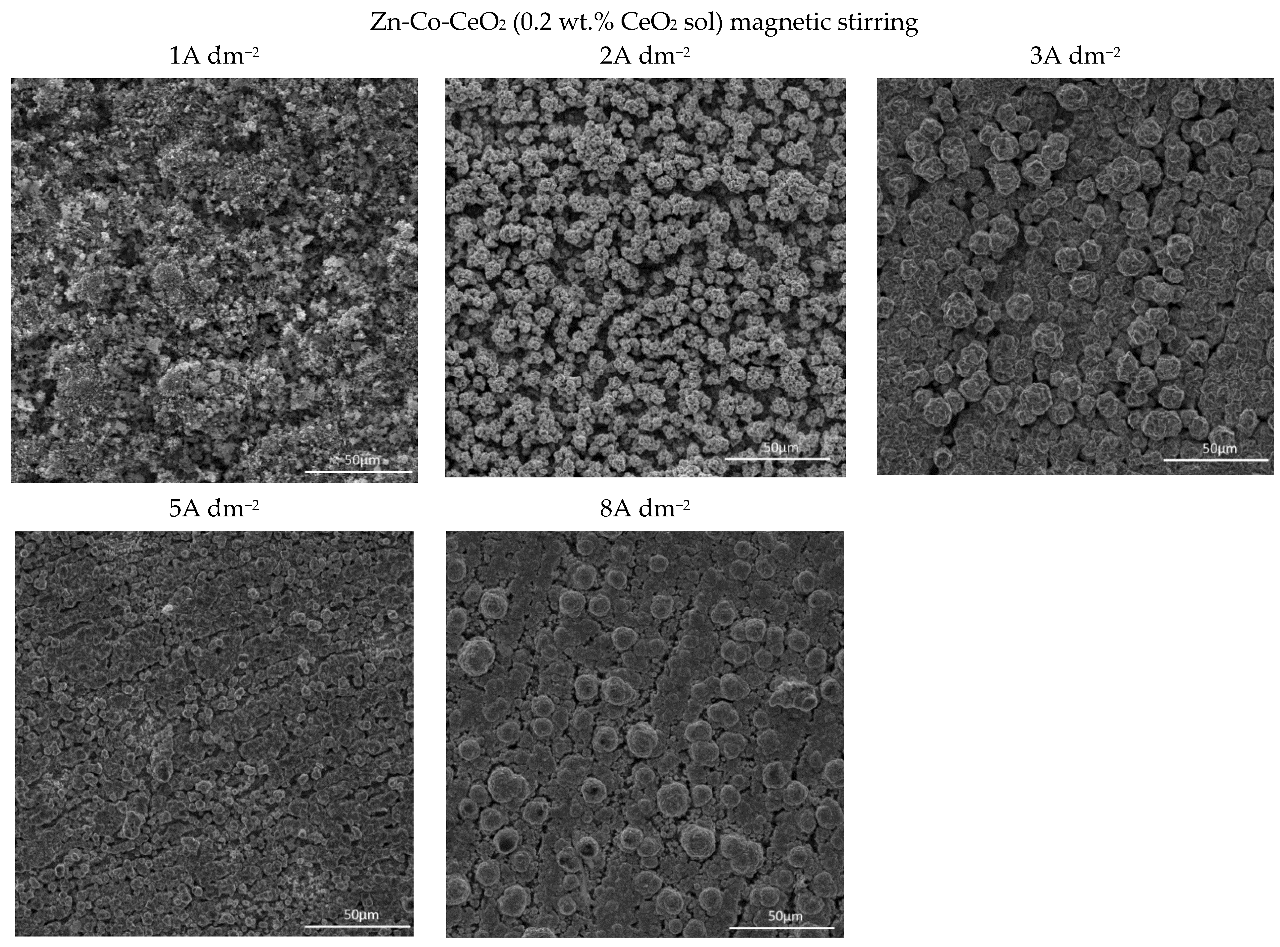 Molecules 26 04578 g007