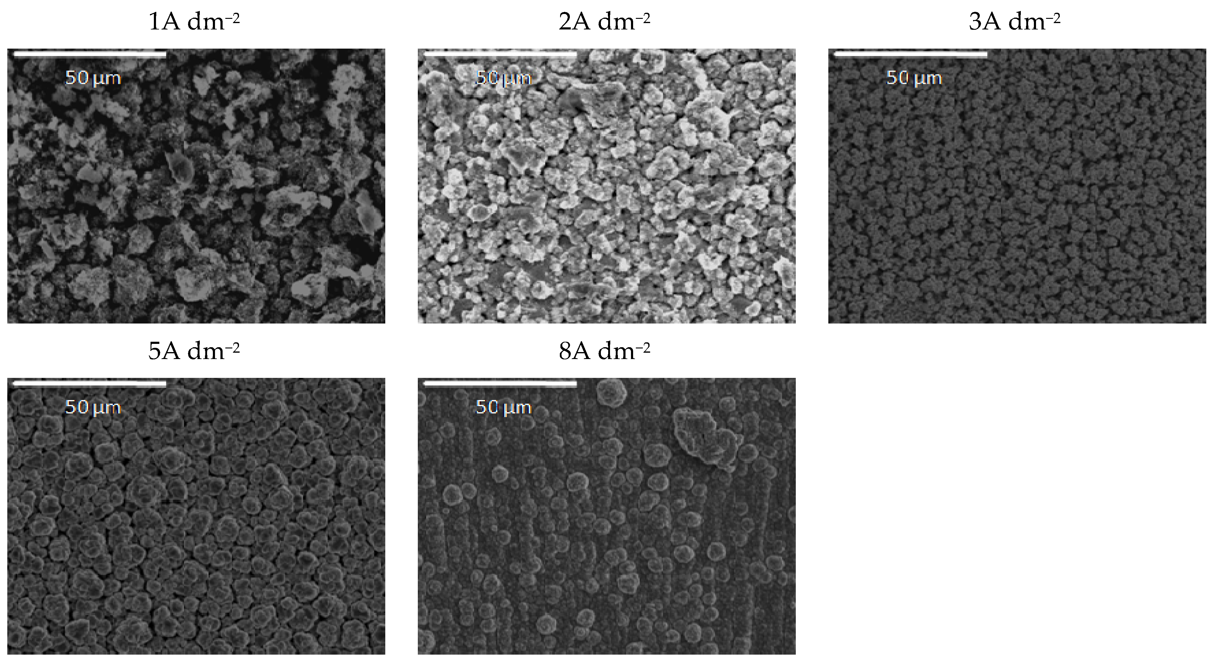Molecules 26 04578 g010