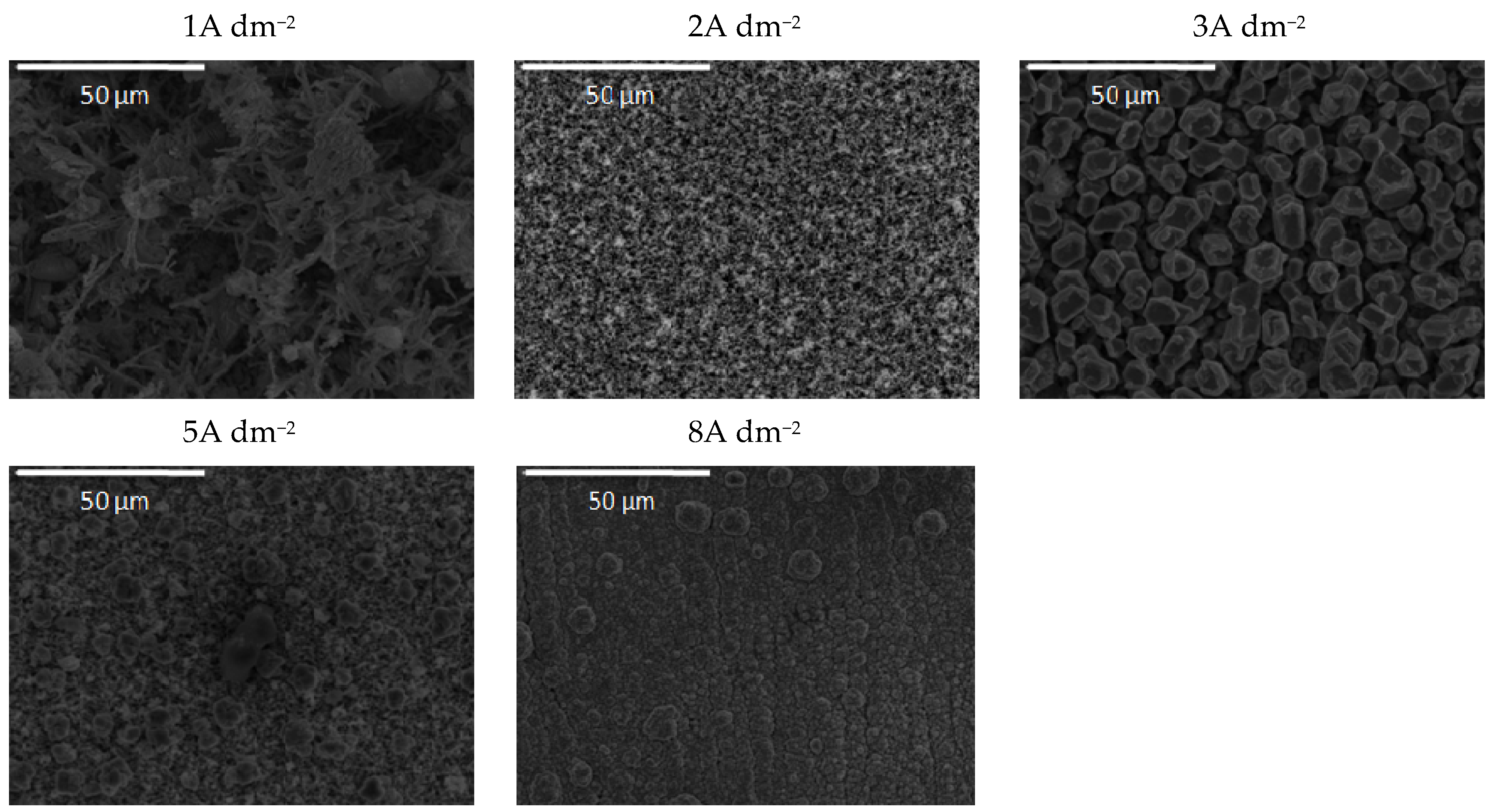 Molecules 26 04578 g011