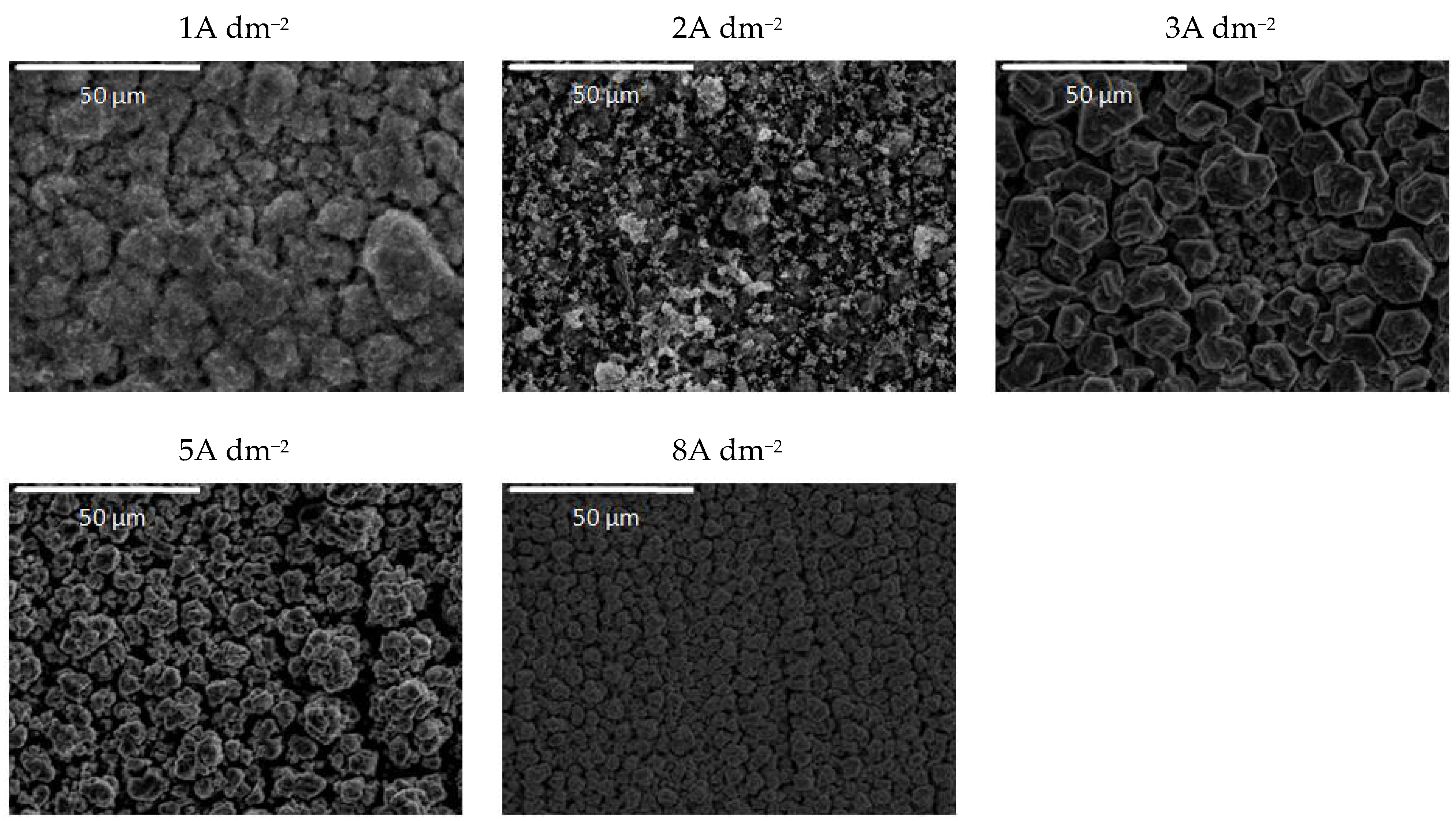 Molecules 26 04578 g012
