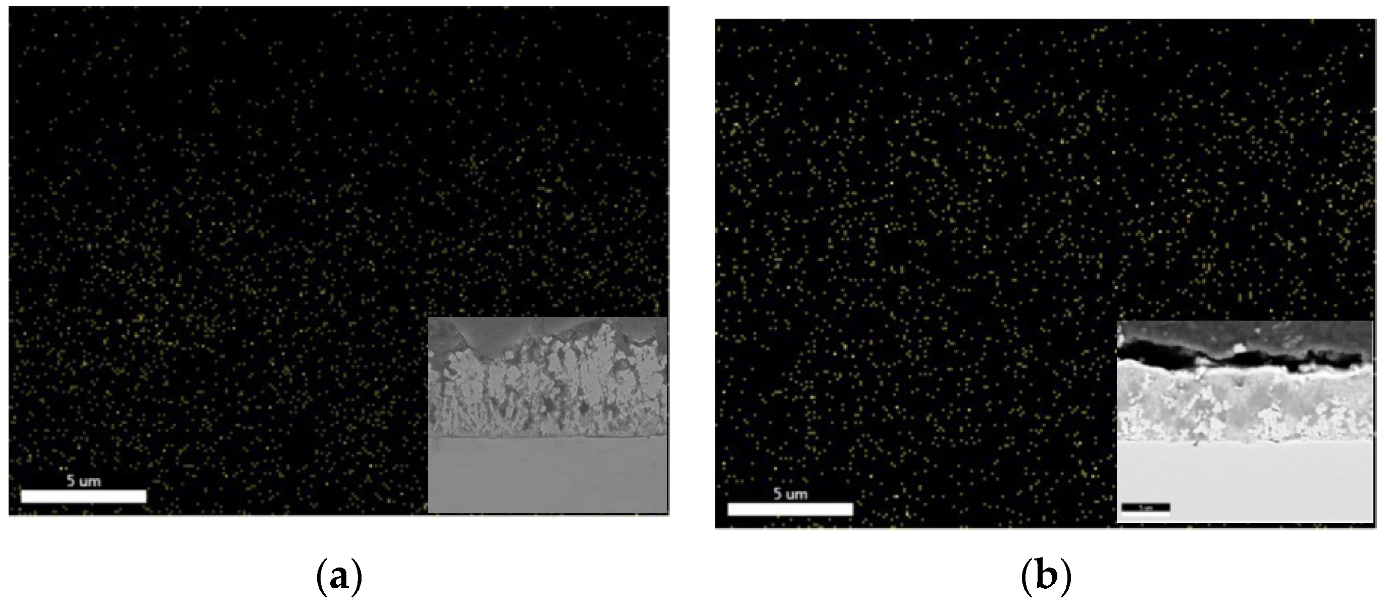 Molecules 26 04578 g013
