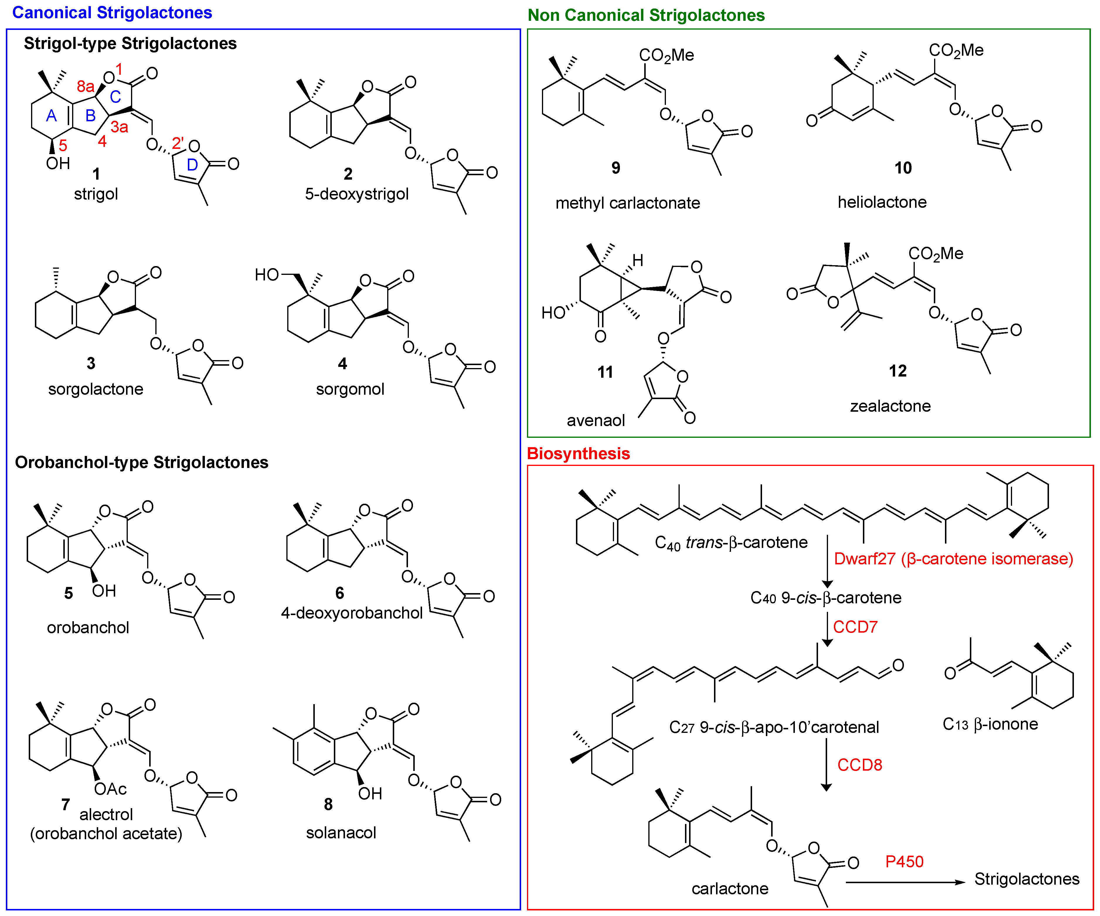 Molecules 26 04579 g001 Molecules 26 04579 g001