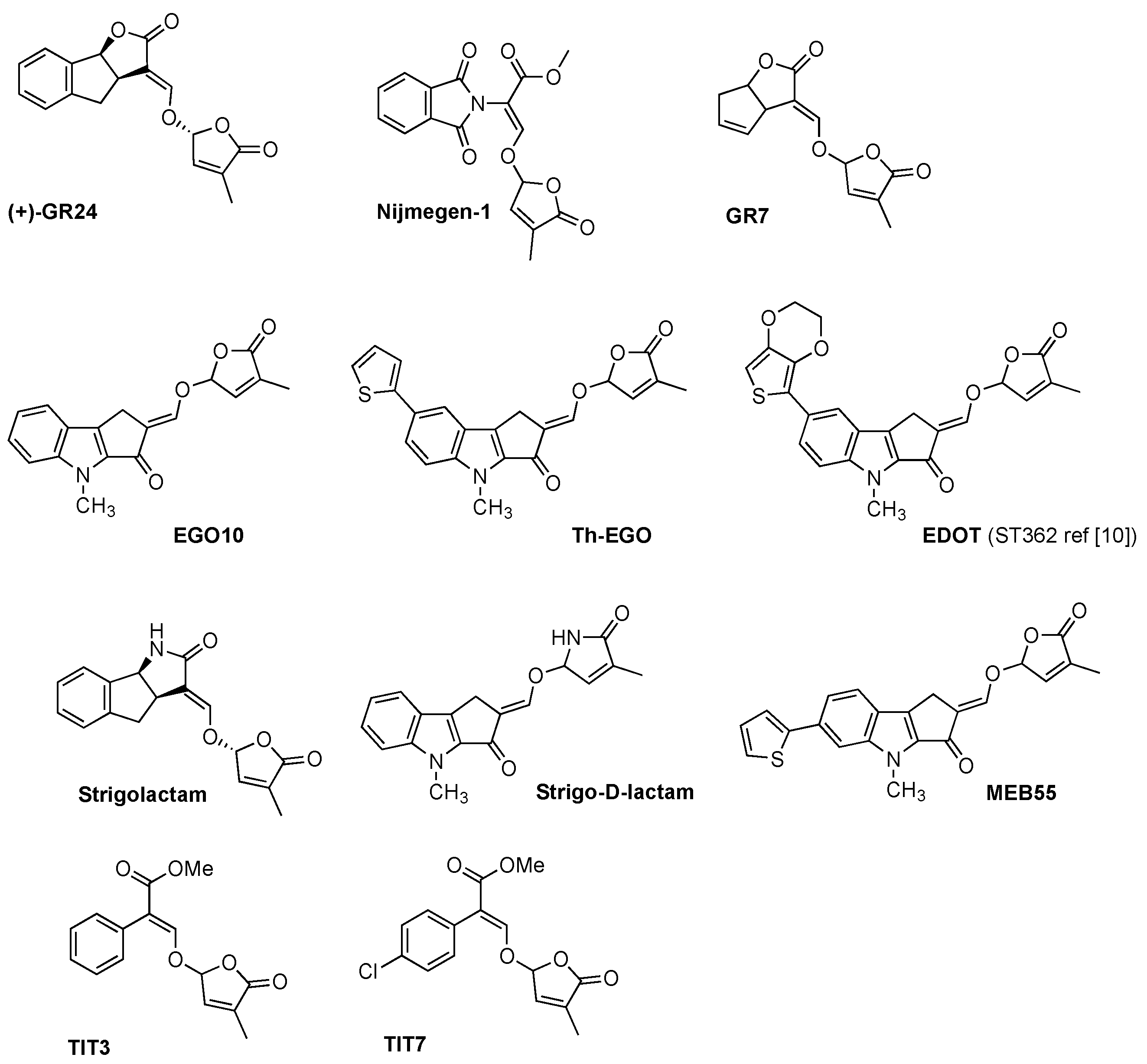Molecules 26 04579 g002 Molecules 26 04579 g002