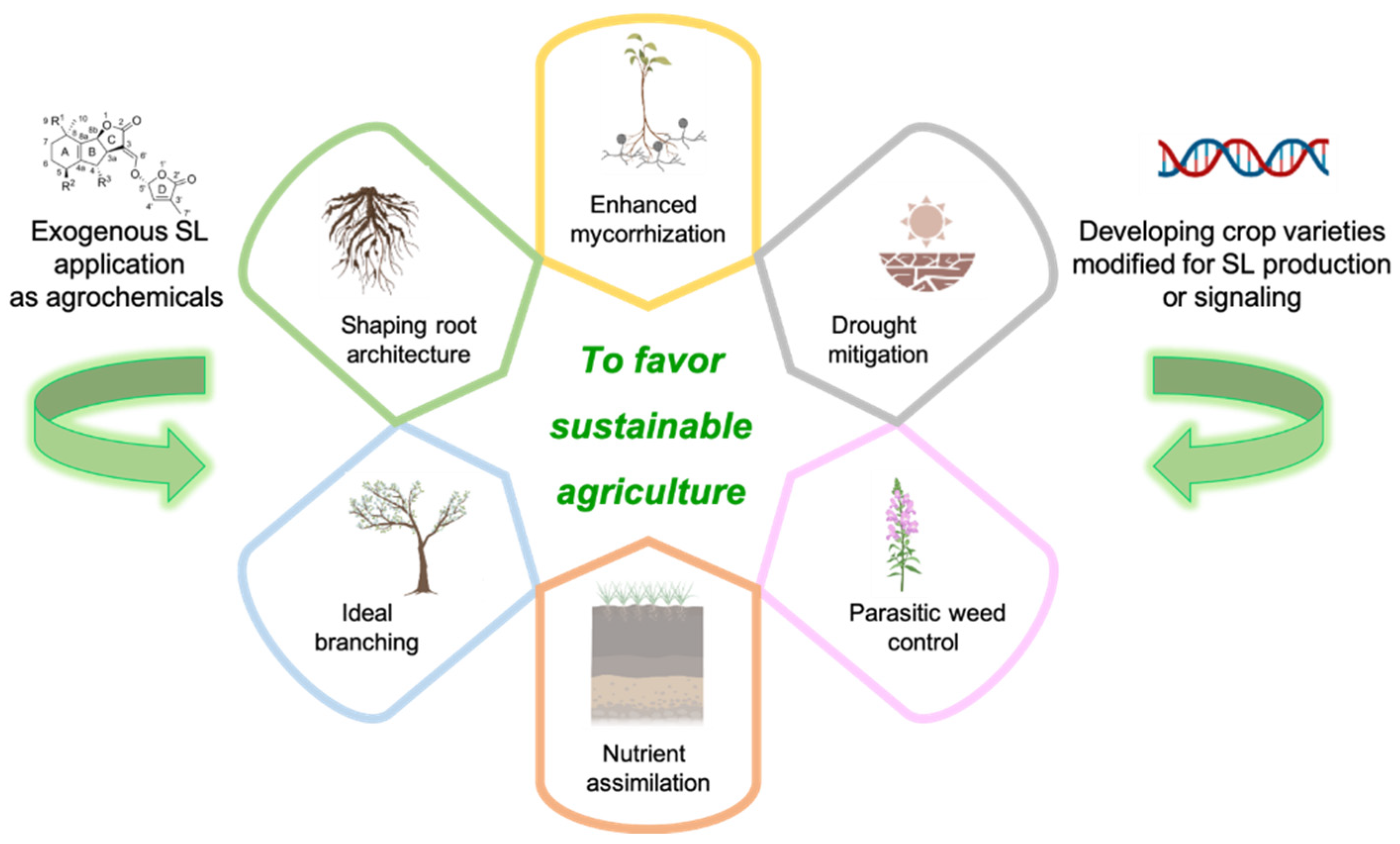 Molecules 26 04579 g003 Molecules 26 04579 g003