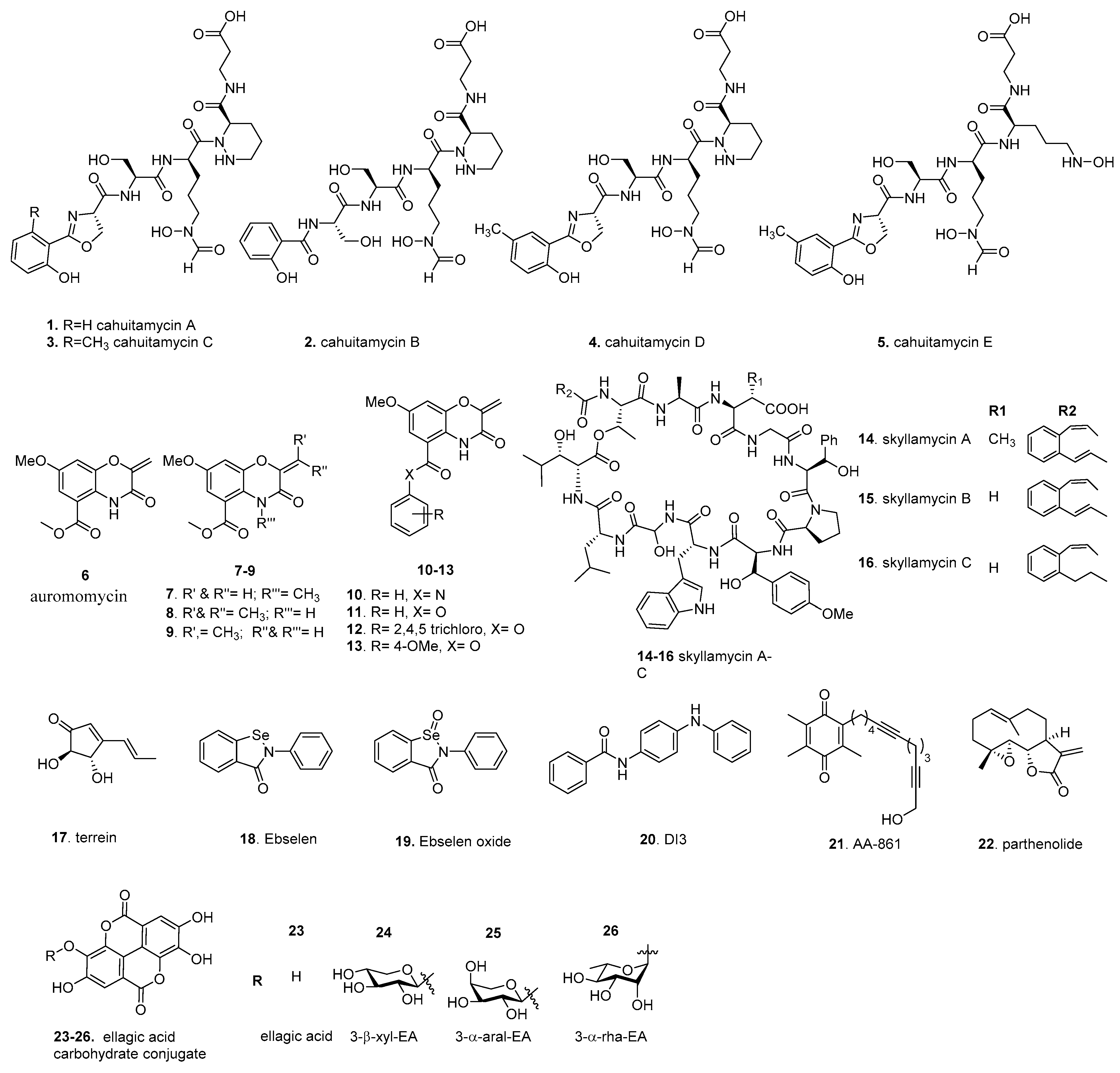 Molecules 26 04582 g003 Molecules 26 04582 g003