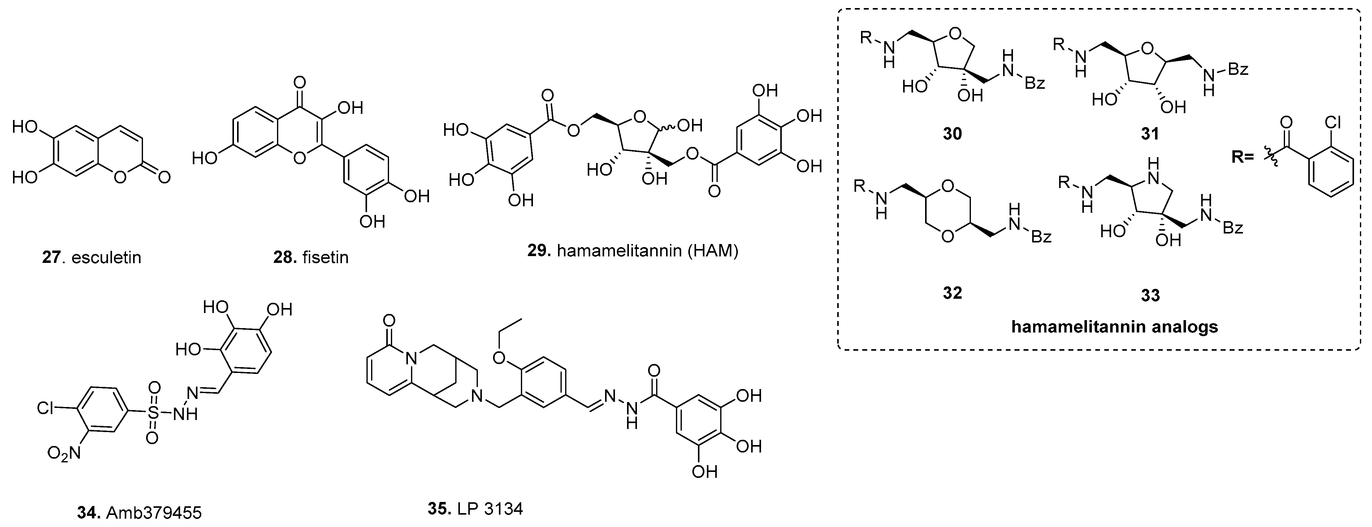 Molecules 26 04582 g004 Molecules 26 04582 g004