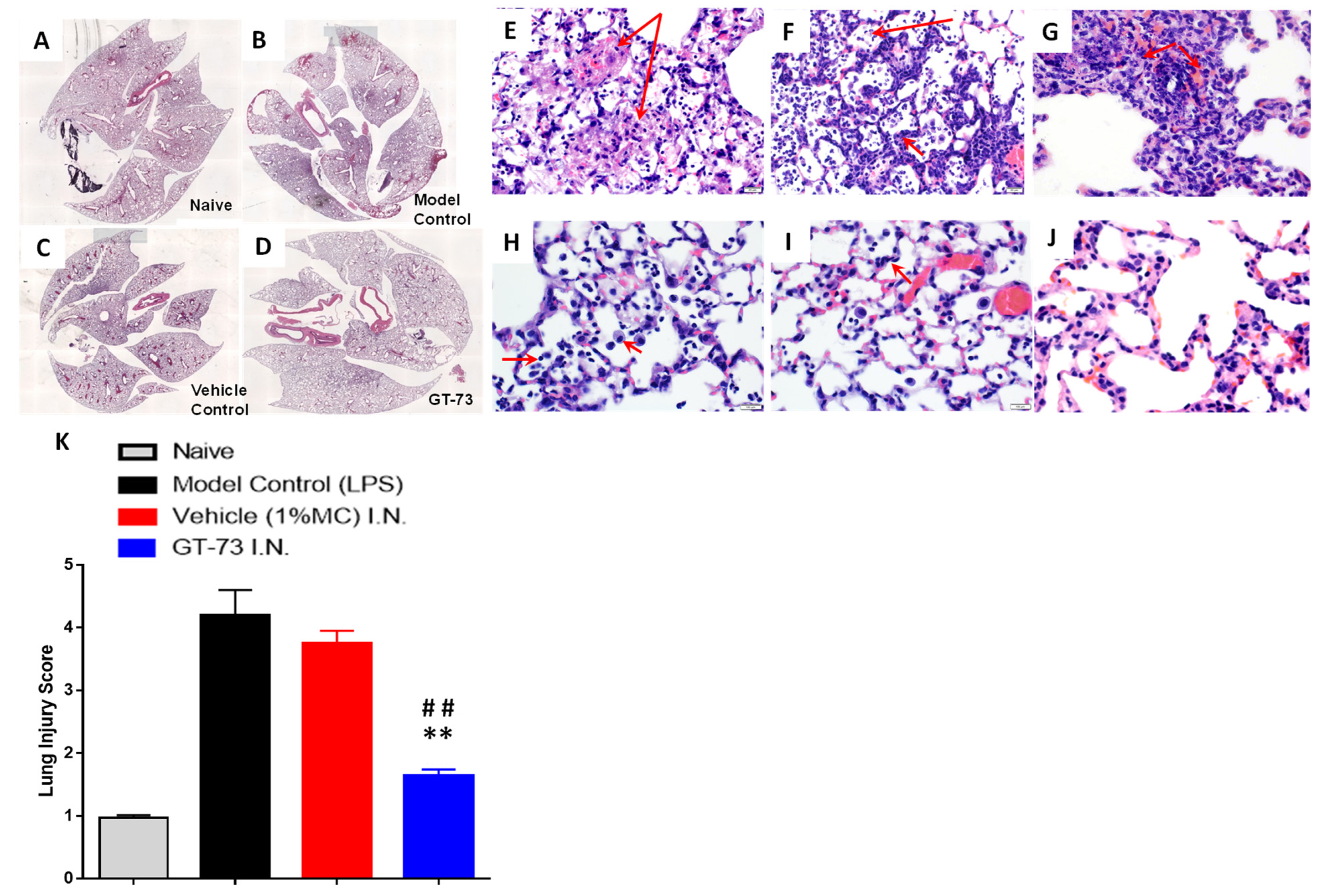 Molecules 26 04583 g003 550