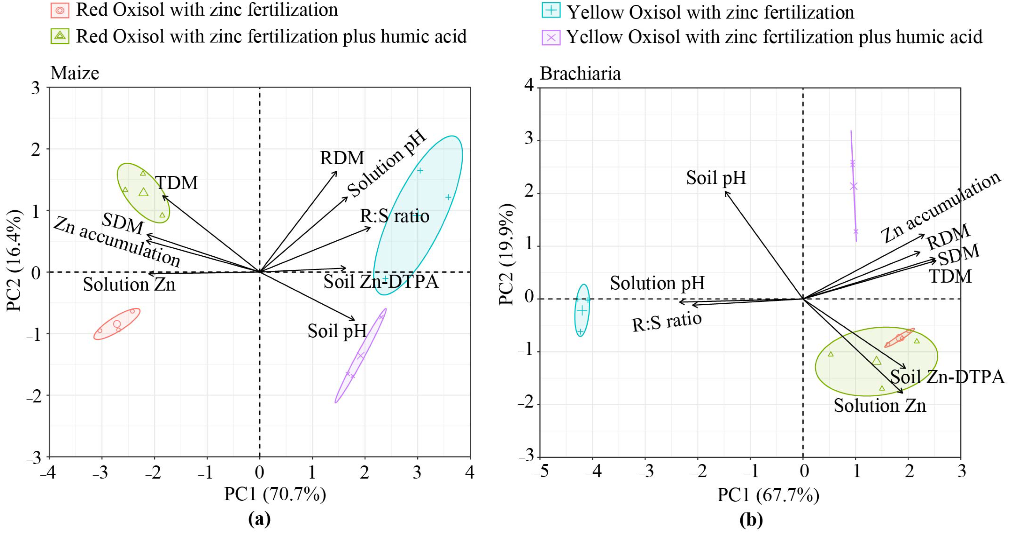 Molecules 26 04588 g005 550