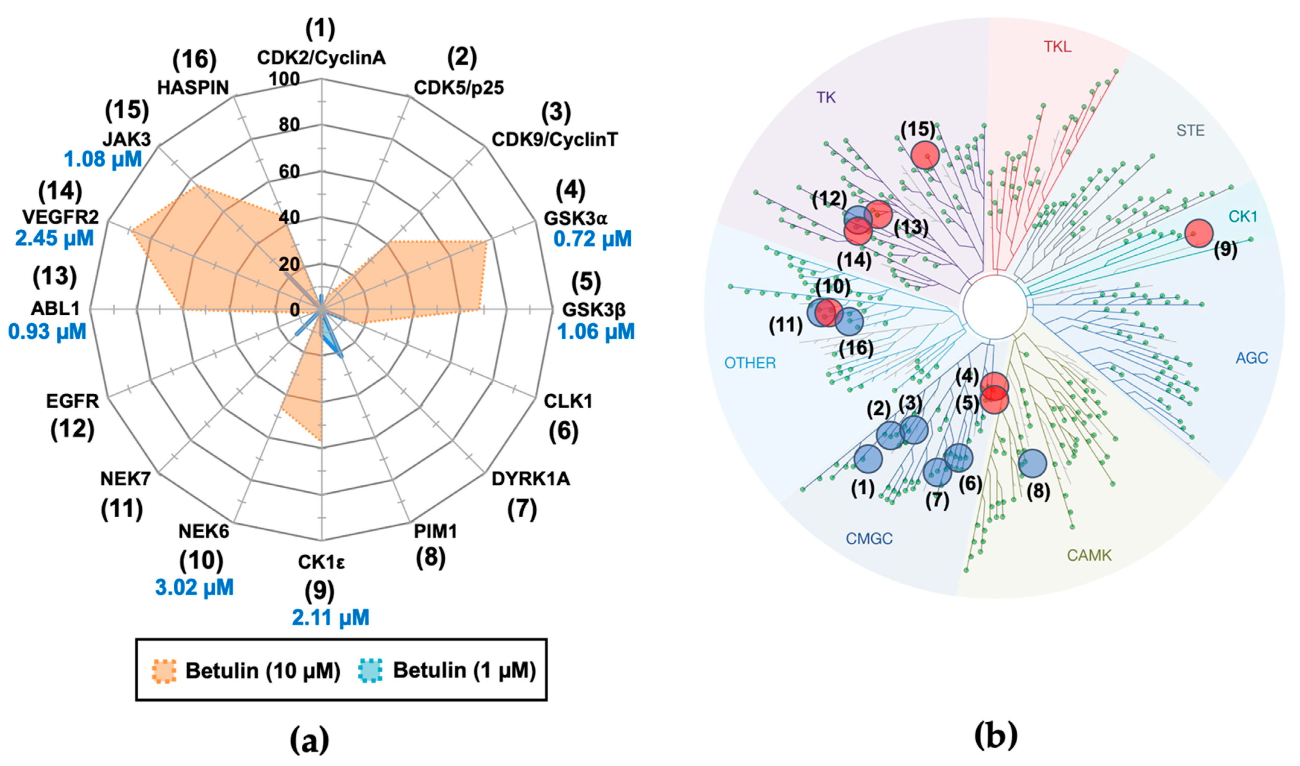 Molecules 26 04599 g002