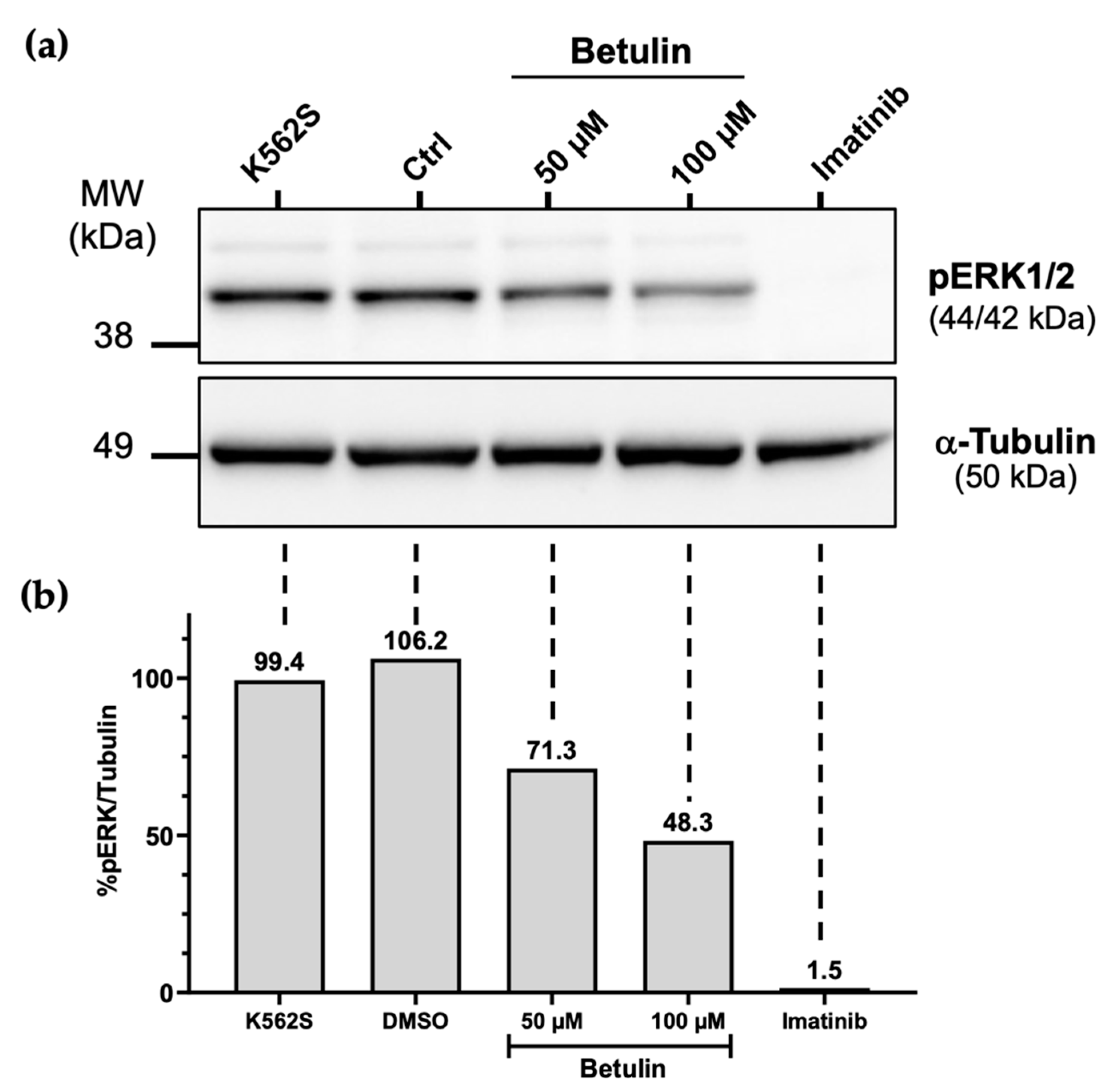 Molecules 26 04599 g006