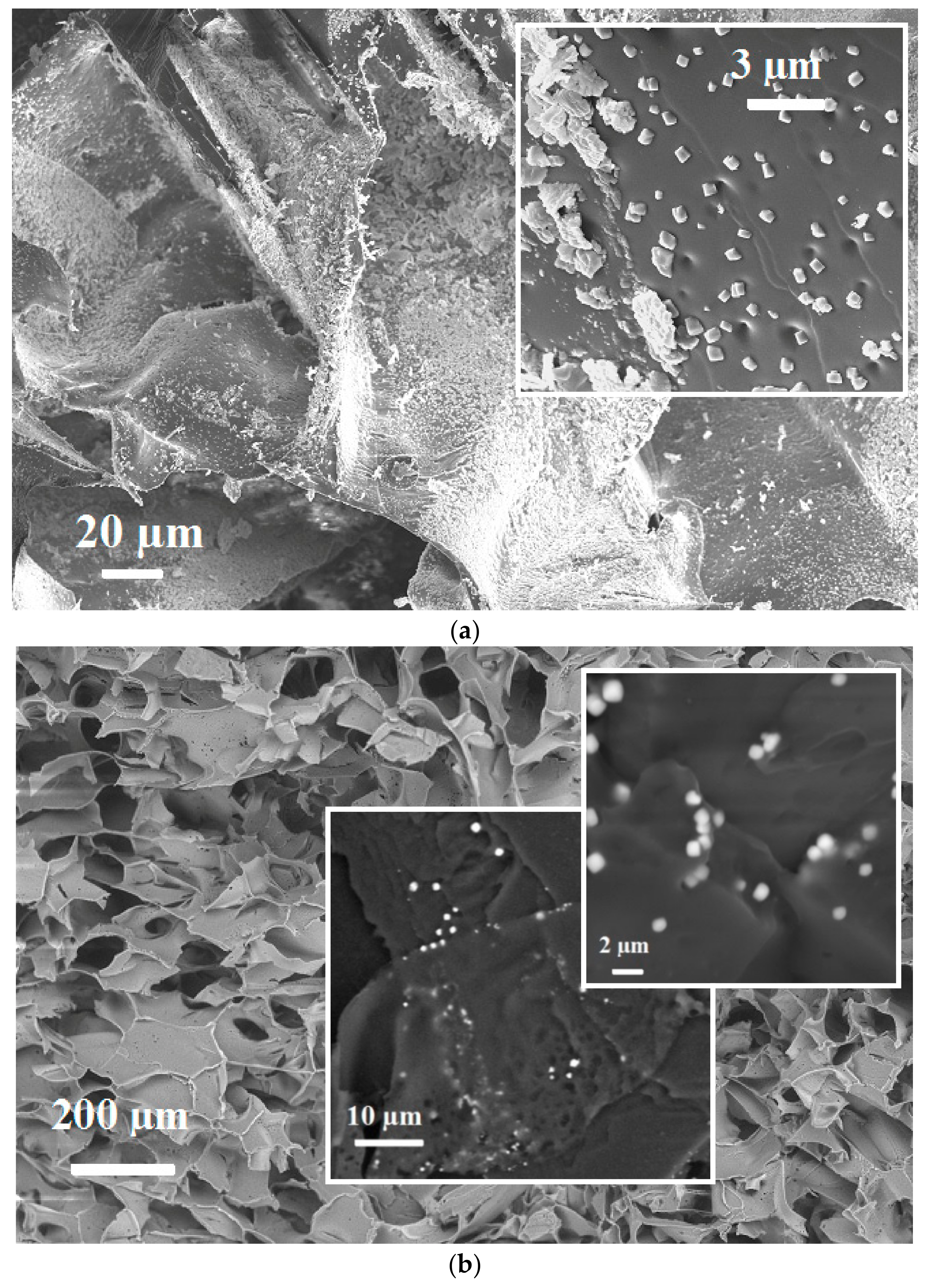 Molecules 26 04604 g004 550