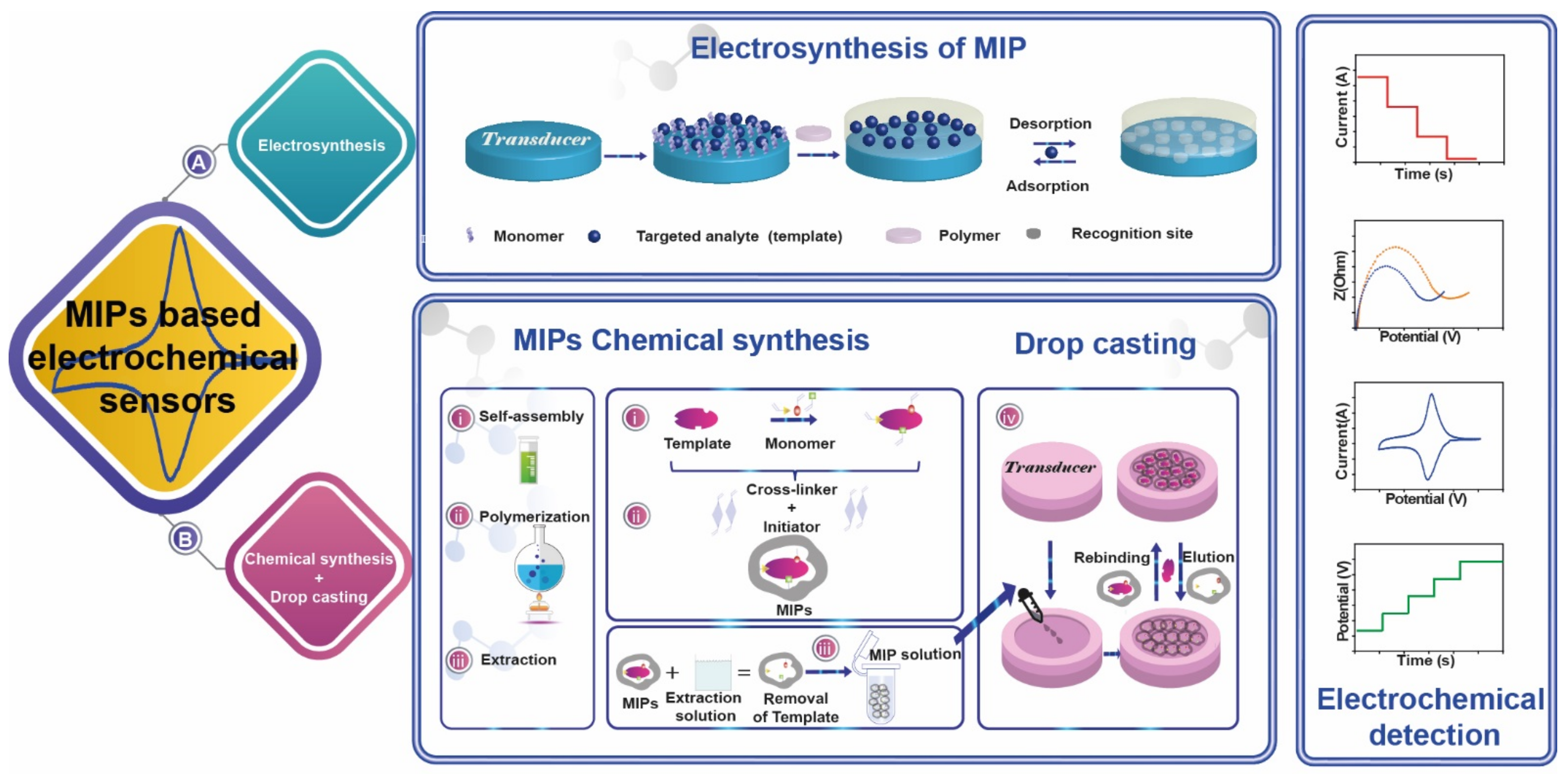 Molecules 26 04607 g002