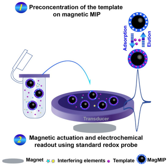 Molecules Free FullText Molecularly Imprinted Polymers Combined with Electrochemical