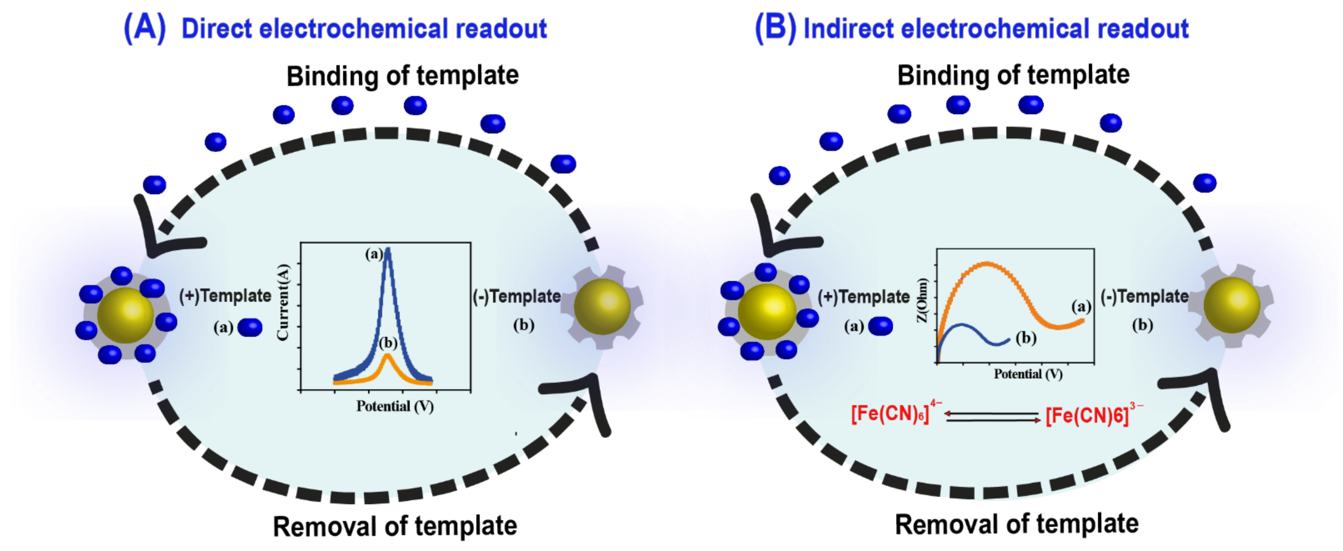 Molecules 26 04607 g004