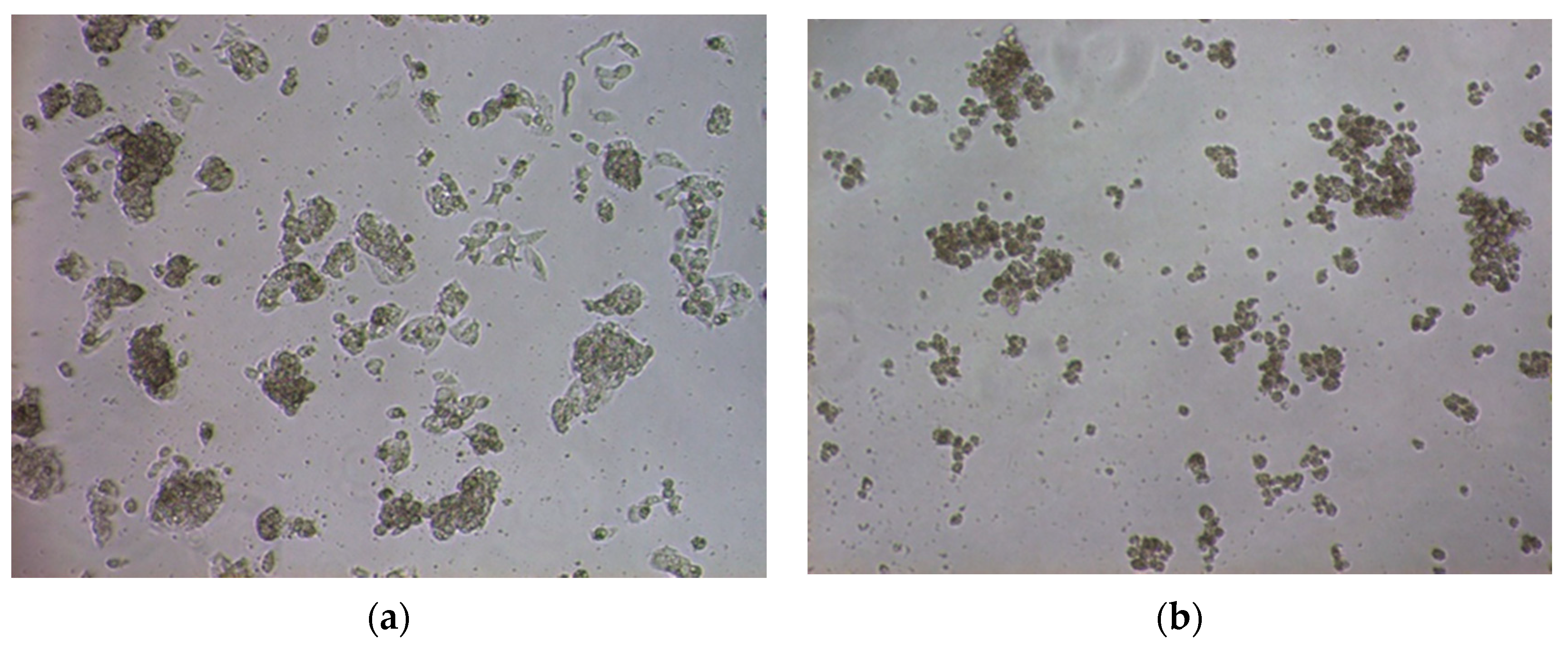 Molecules 26 04610 g003