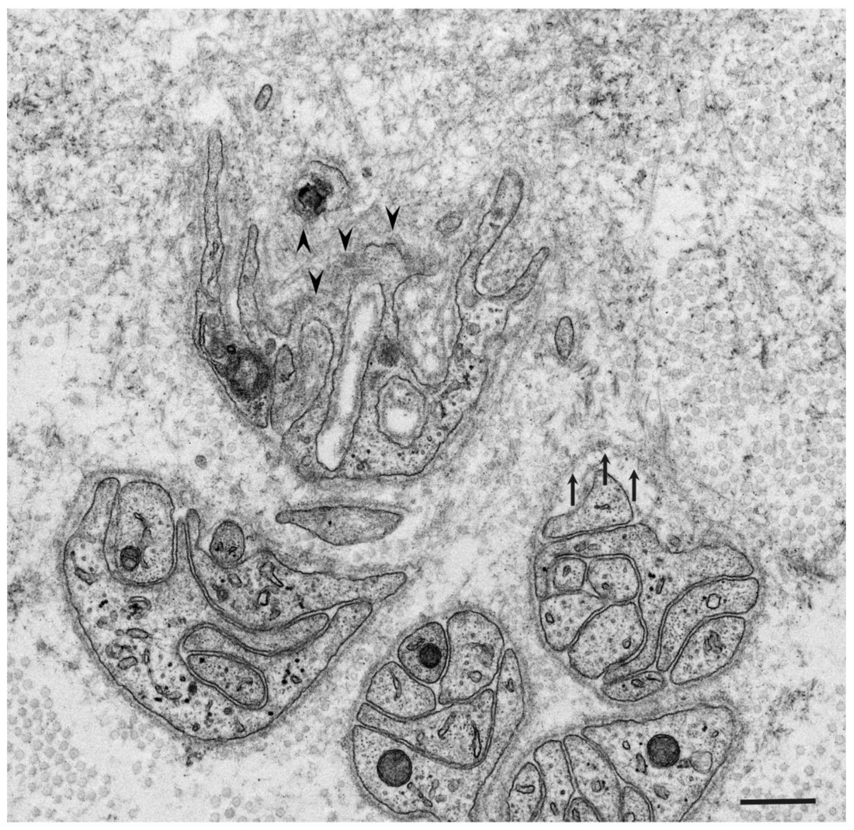 Molecules 26 04611 g002 Molecules 26 04611 g002