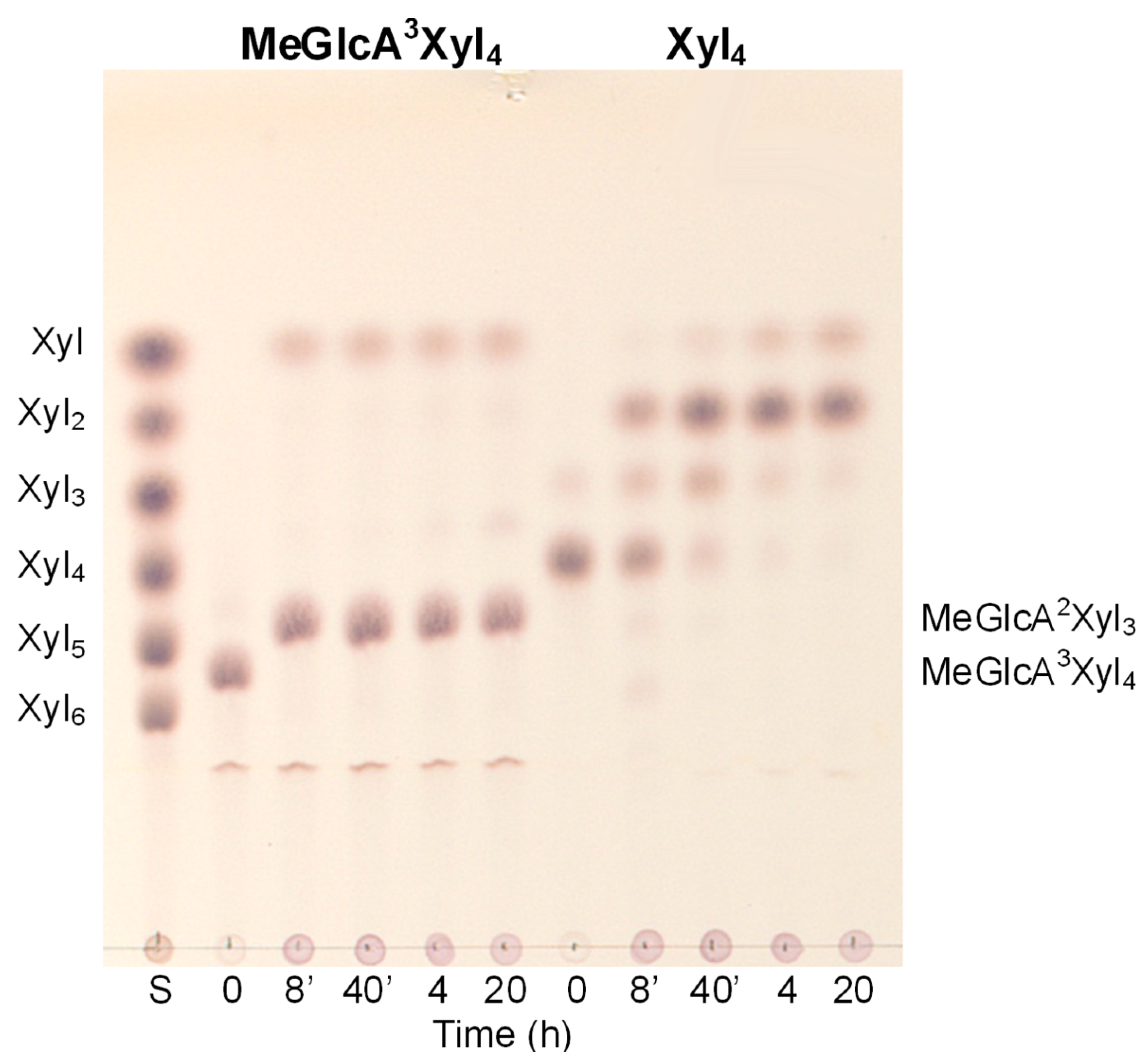 Molecules 26 04614 g003