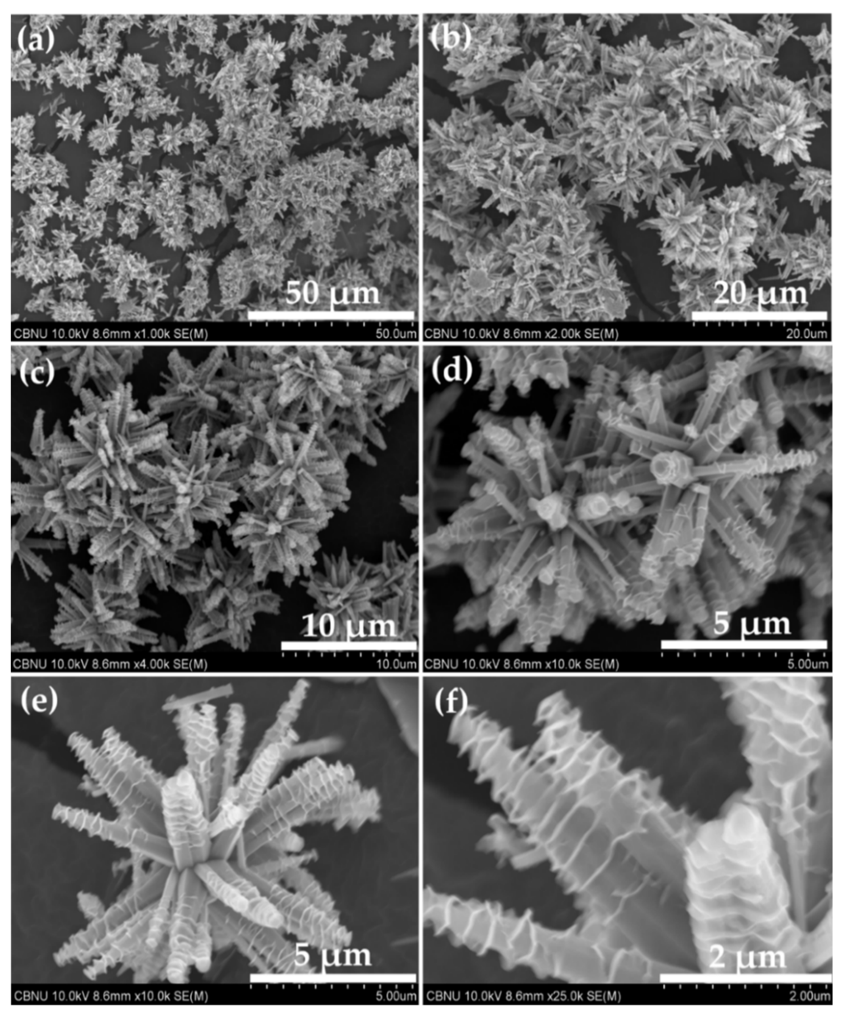 Molecules 26 04619 g002 550